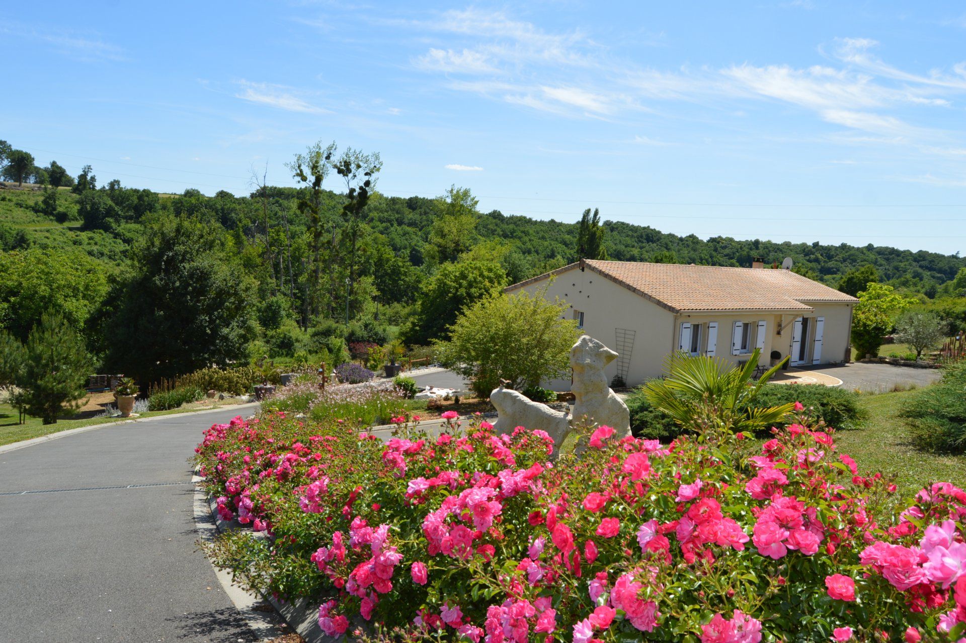 Andet i Barro, Nouvelle-Aquitaine 10837310