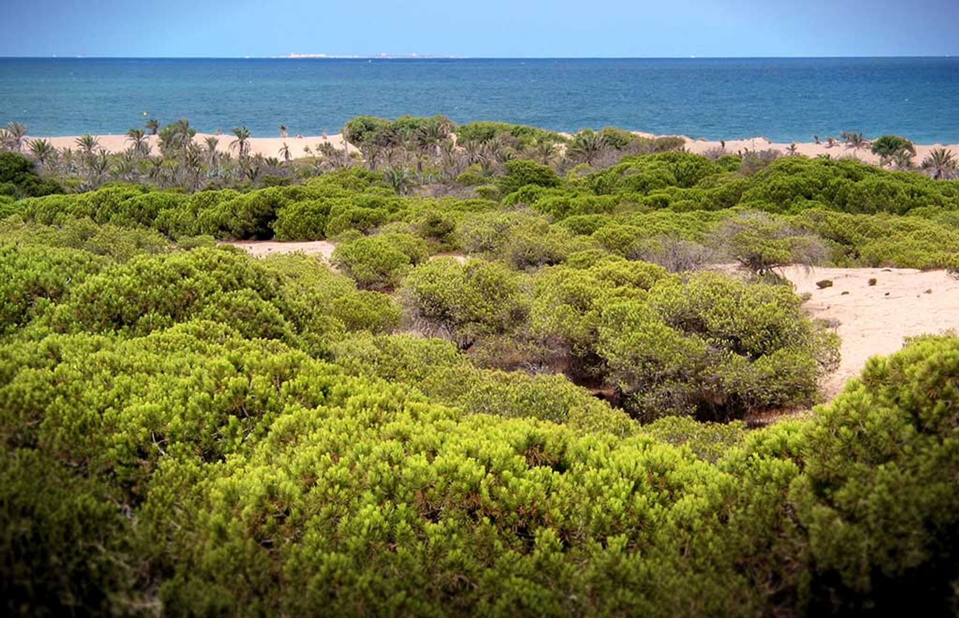 Casa nel Dehesa de Campoamor, Valencian Community 10837315