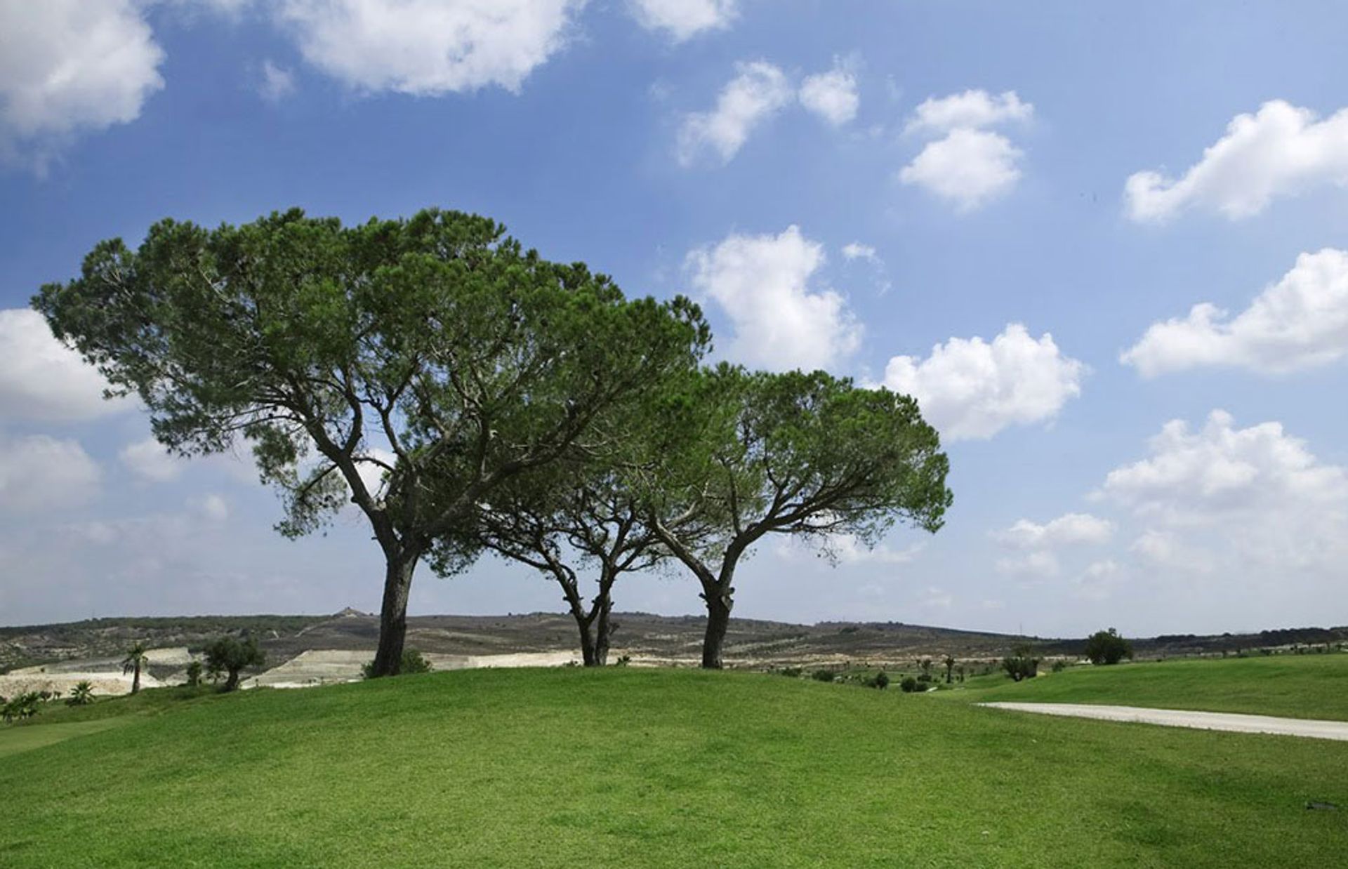 casa en Dehesa de Campoamor, Valencian Community 10837323