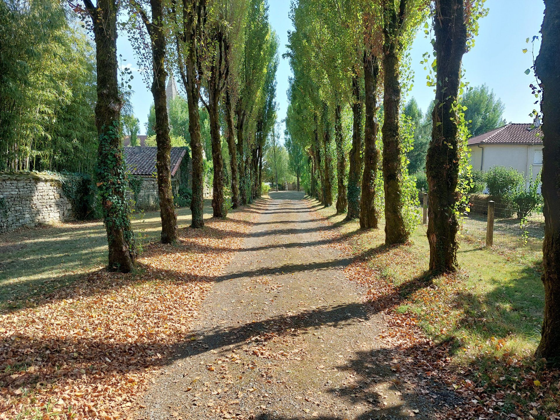 Rumah di Ardilleux, Nouvelle-Aquitaine 10837324