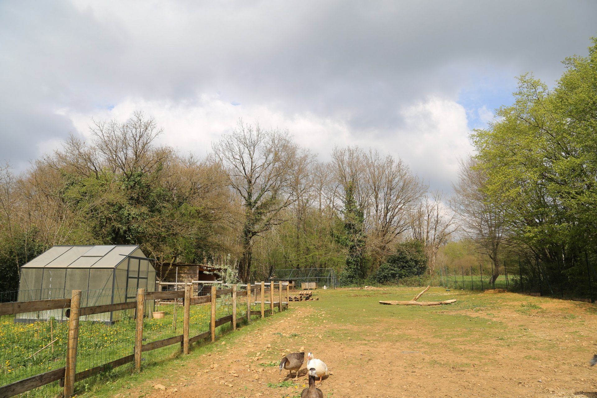 rumah dalam Londigny, Nouvelle-Aquitaine 10837327