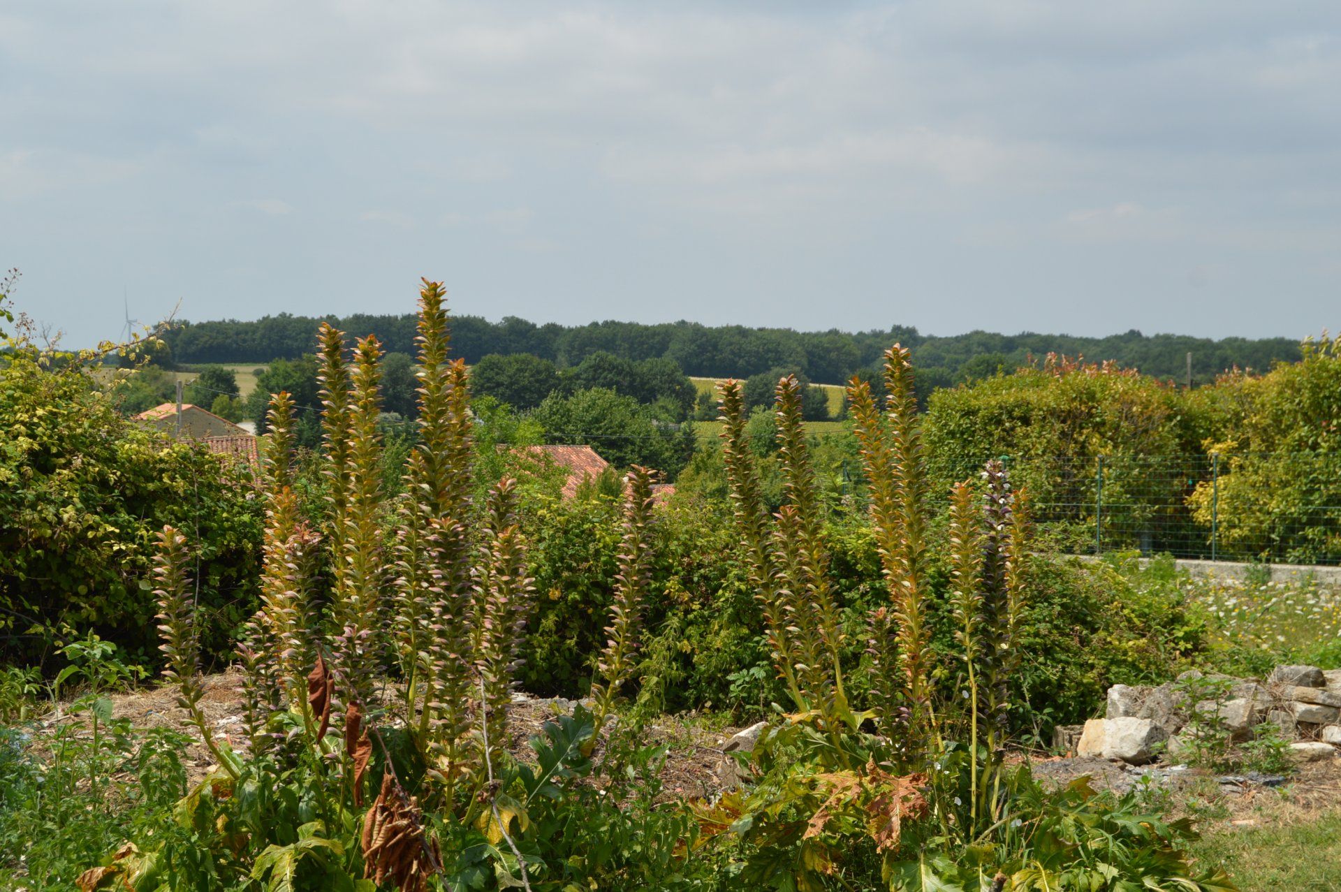 casa no Bernac, Nouvelle-Aquitaine 10837388