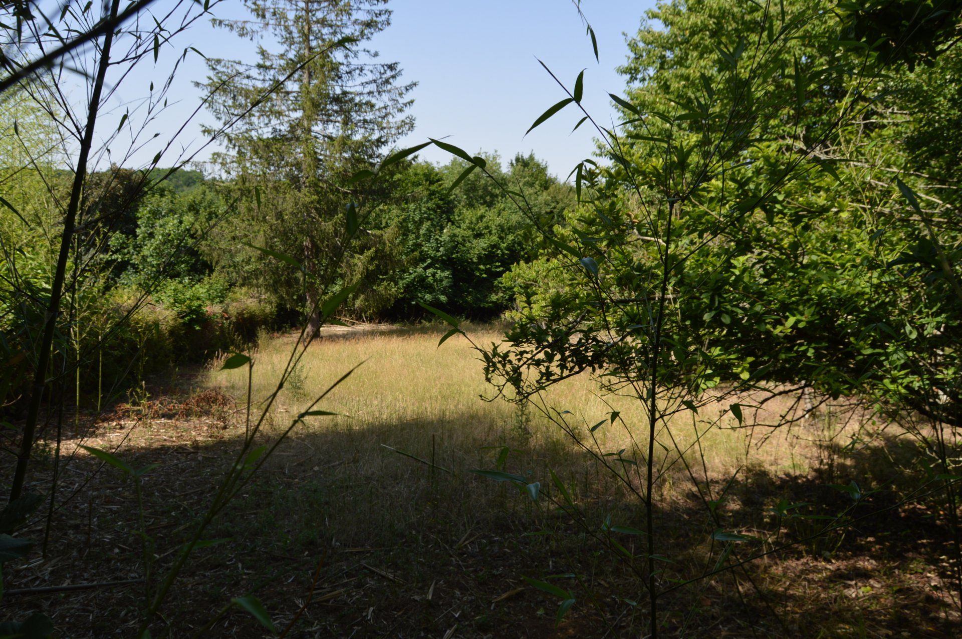 House in Montjean, Nouvelle-Aquitaine 10837450