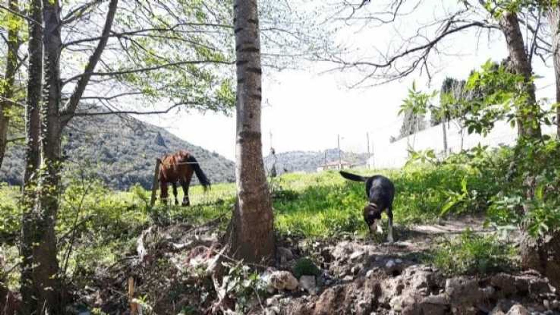 Industri di Riols, Occitanie 10837675