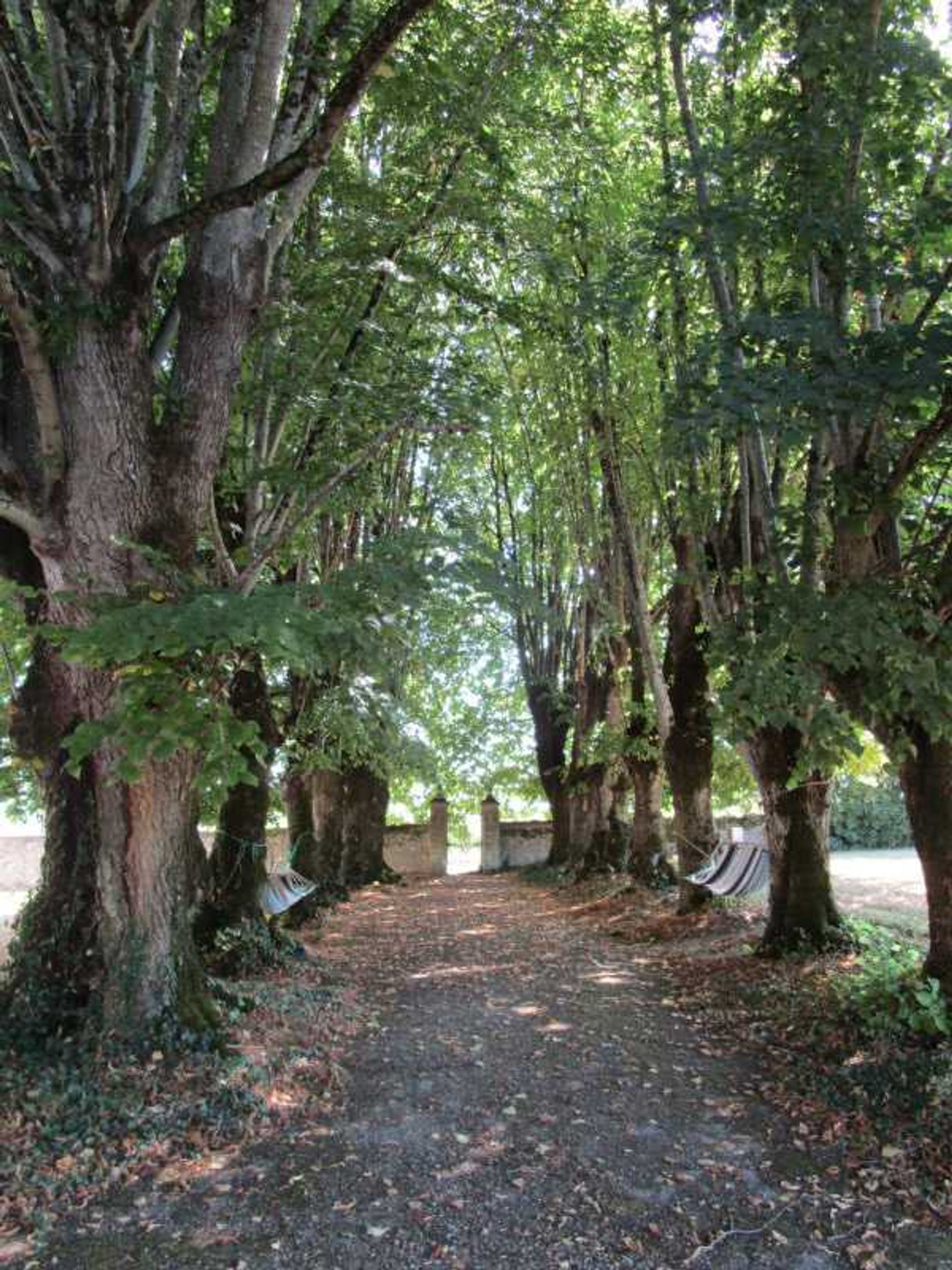 Muu sisään Chenonceaux, Keskusta - Val de Loire 10837694