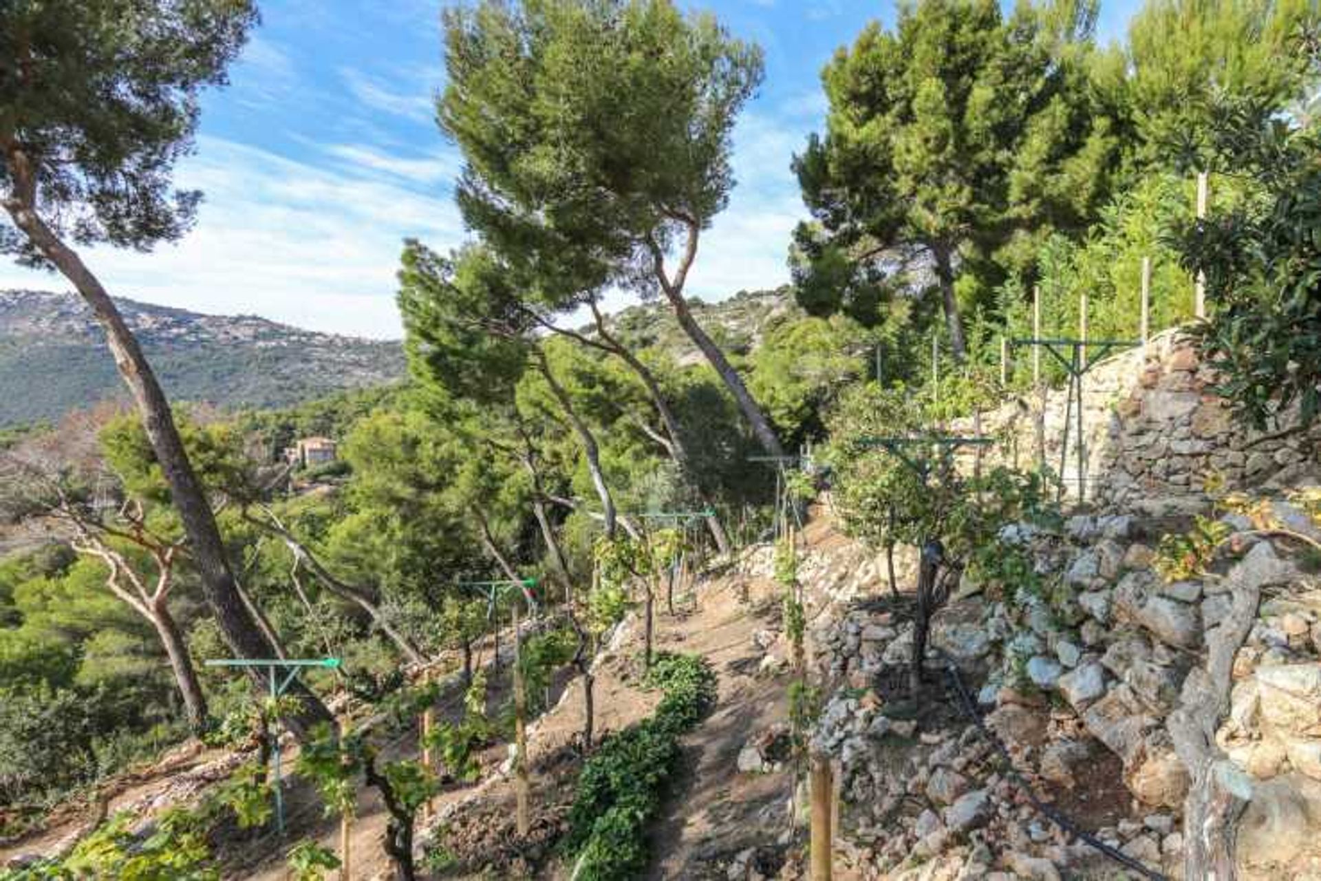 casa en Beausoleil, Provence-Alpes-Côte d'Azur 10837702