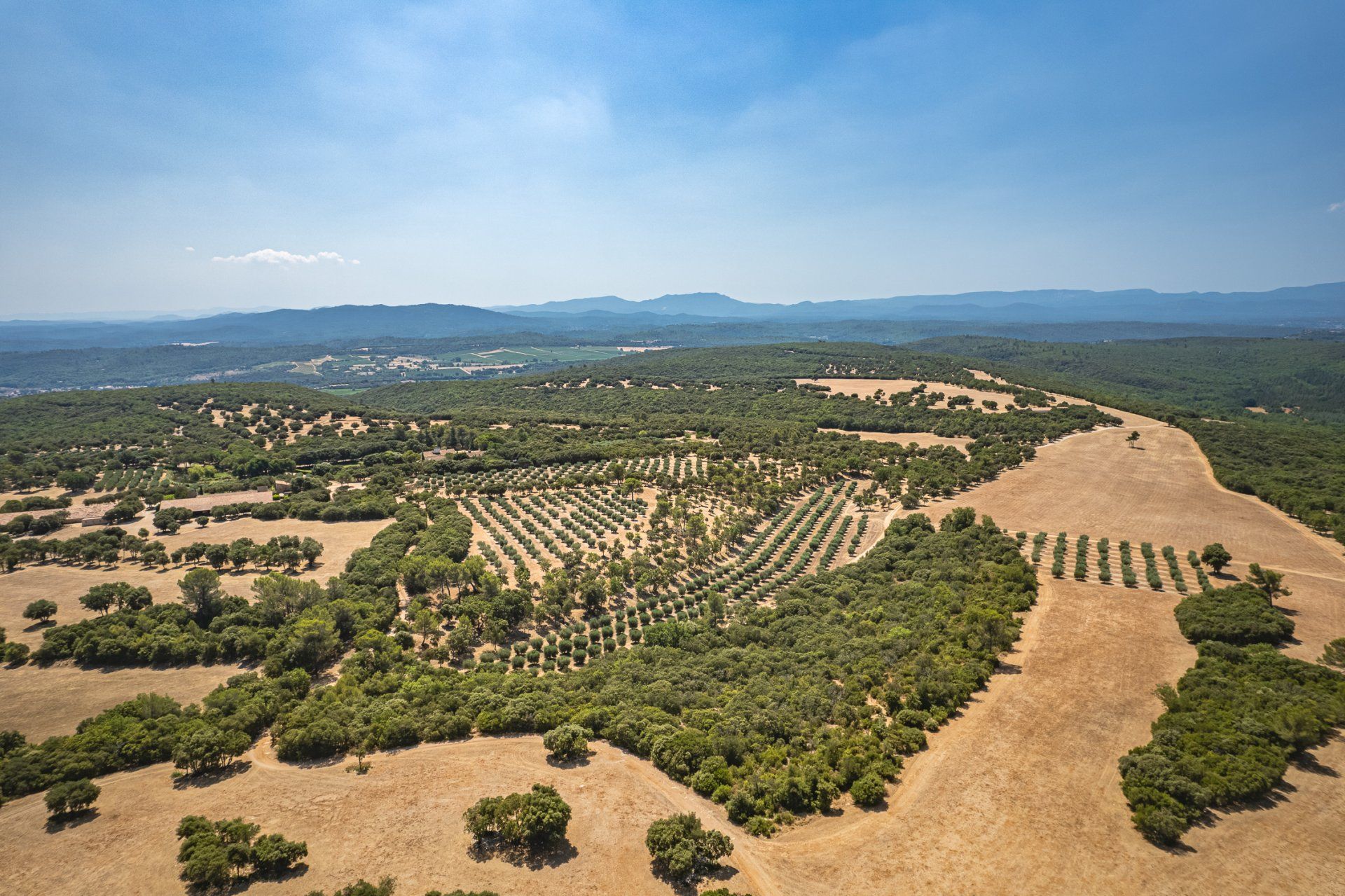 σπίτι σε Brue-Auriac, Provence-Alpes-Côte d'Azur 10838355