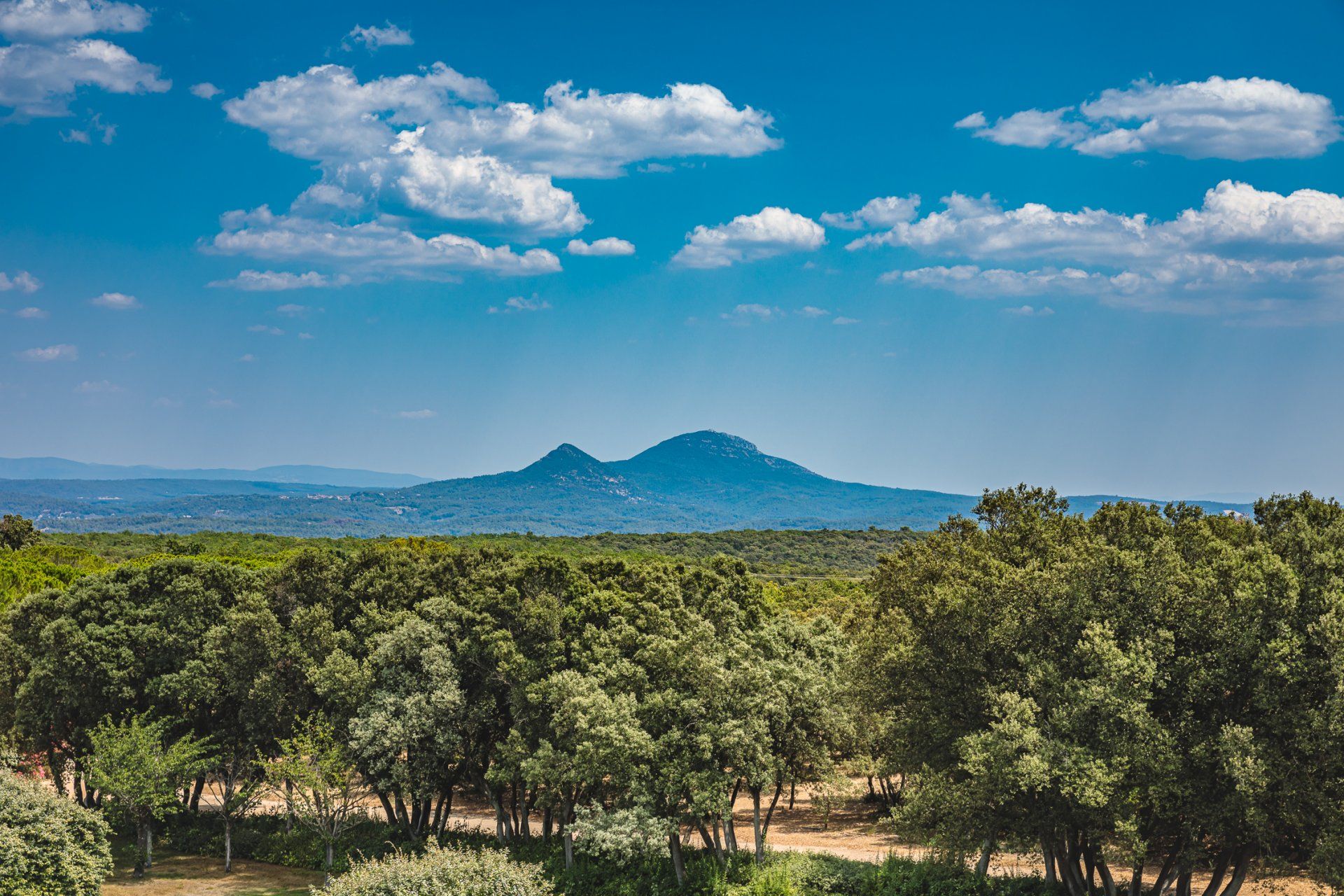 σπίτι σε Brue-Auriac, Provence-Alpes-Côte d'Azur 10838355