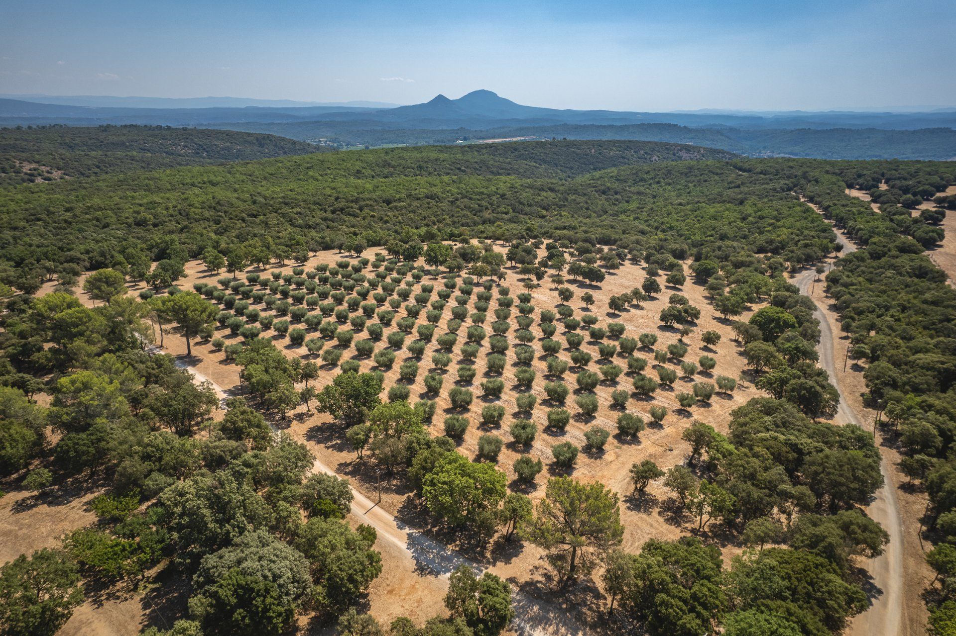 Hus i Brue-Auriac, Provence-Alpes-Cote d'Azur 10838355