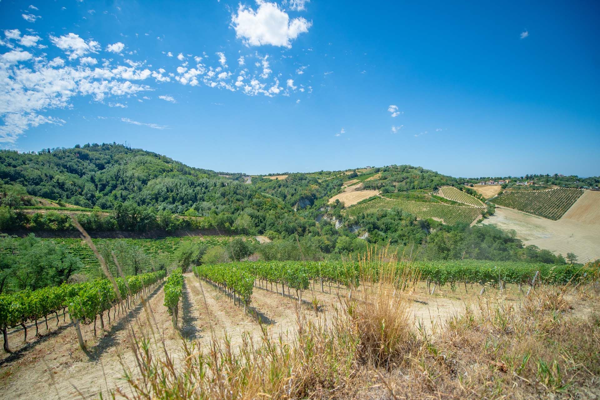 Otro en Cesena, Emilia-Romagna 10838424