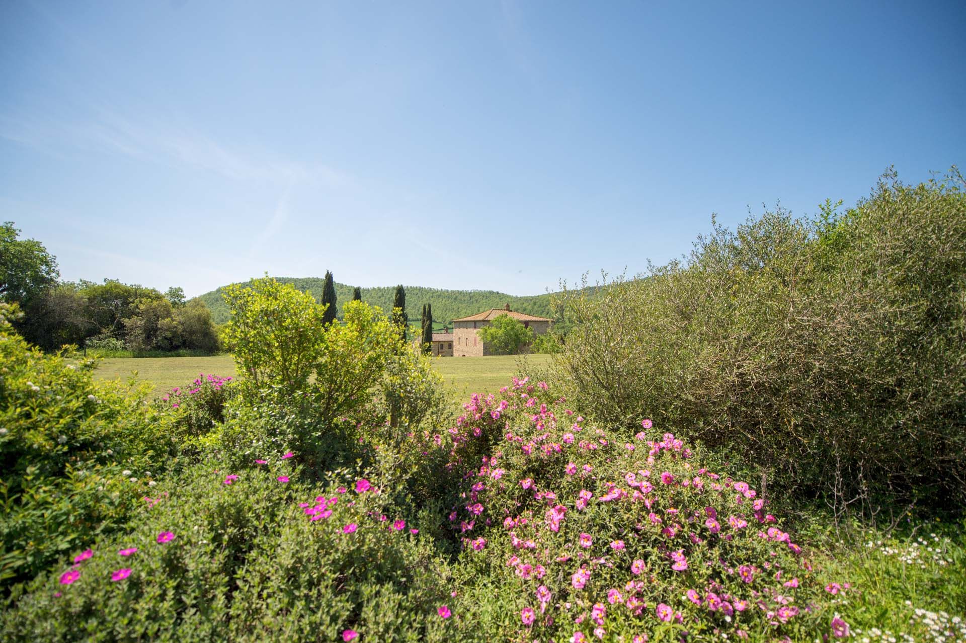 casa en Grosseto, Tuscany 10838435