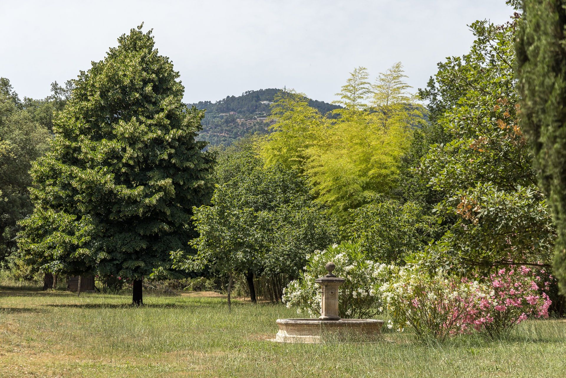 Talo sisään Fréjus, Provence-Alpes-Côte d'Azur 10838468