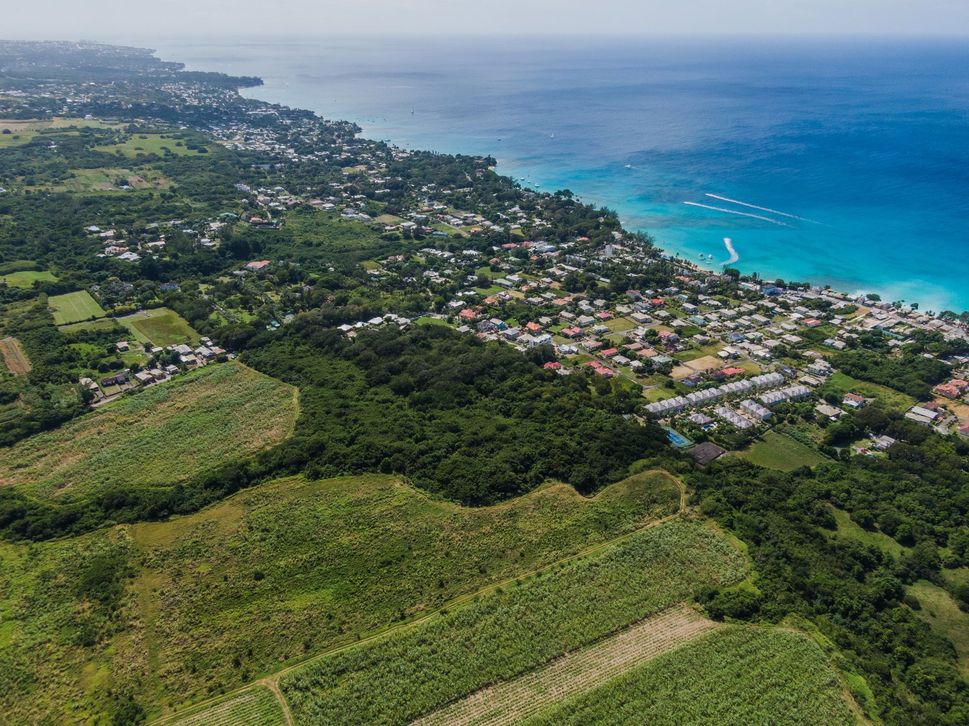 Terre dans Gibbés, Saint Pierre 10839783