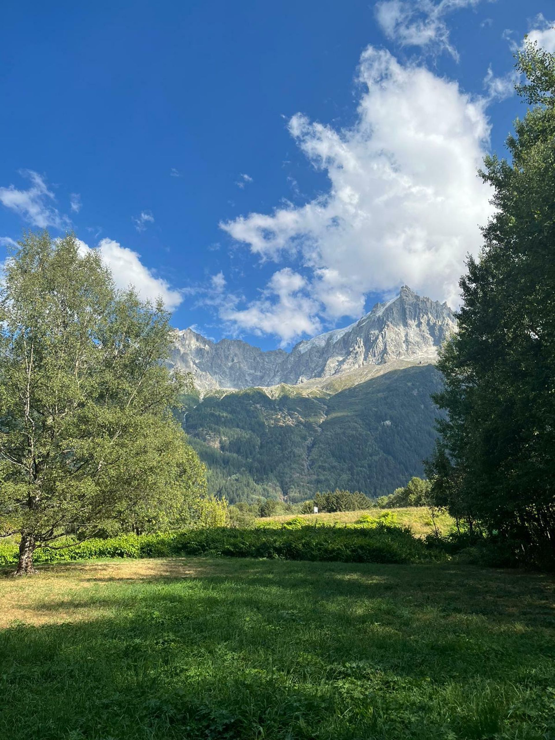 Αλλα σε Les Praz-de-Chamonix, Ωβέρνη-Ροδανός-Άλπεις 10840112