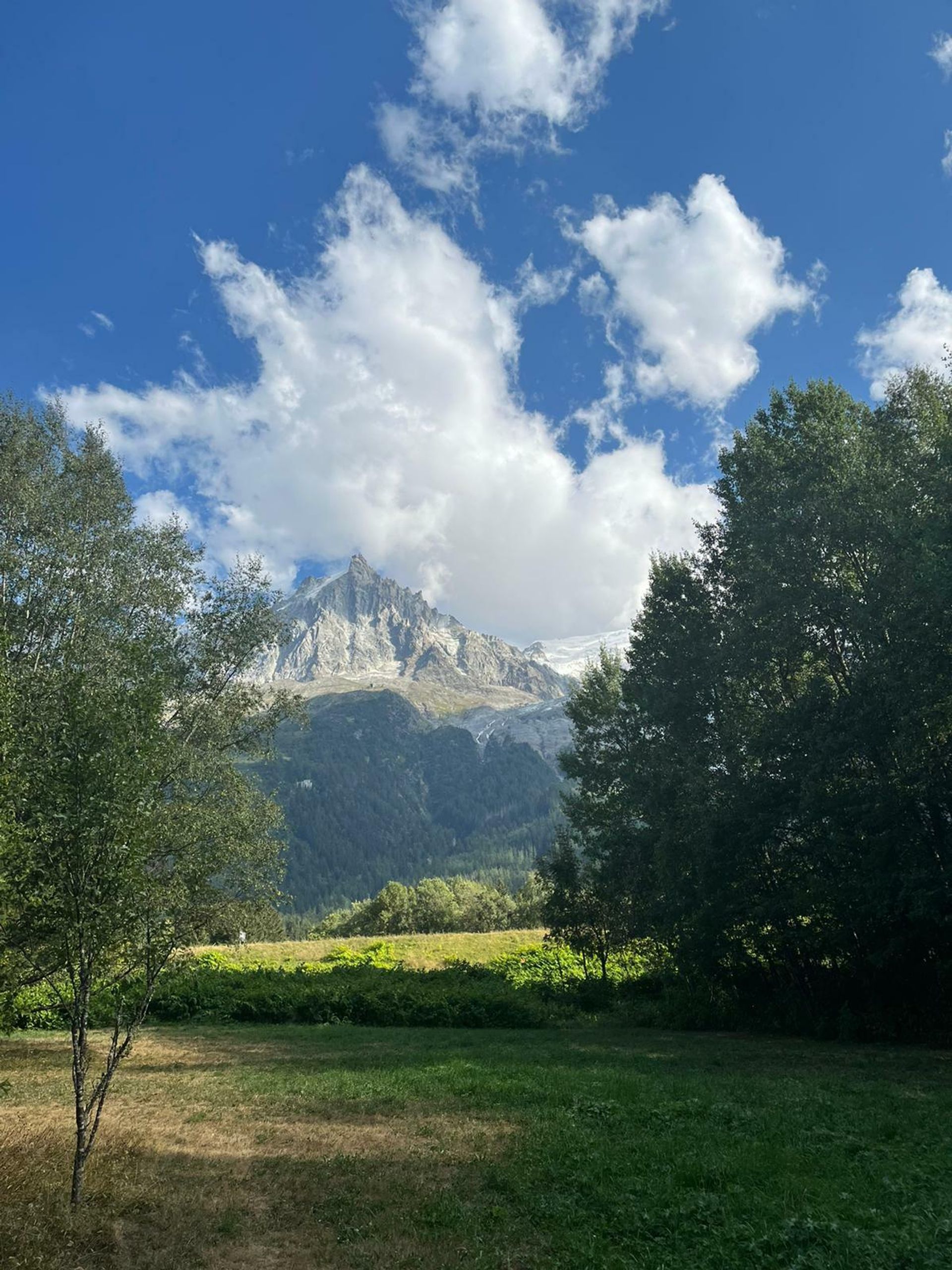 Muu sisään Les Praz-de-Chamonix, Auvergne-Rhône-Alpes 10840112