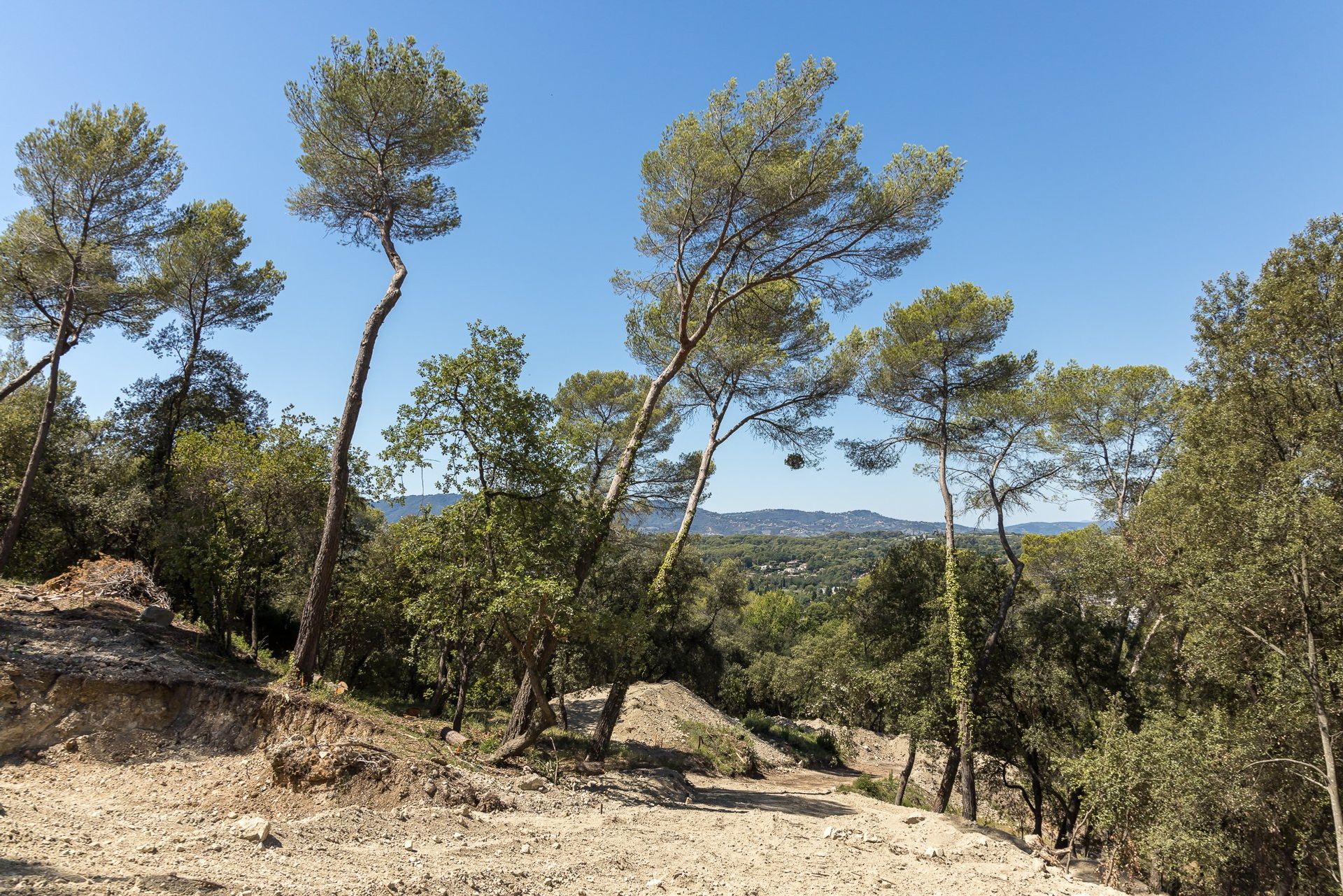 жилой дом в Mougins, Provence-Alpes-Côte d'Azur 10840363