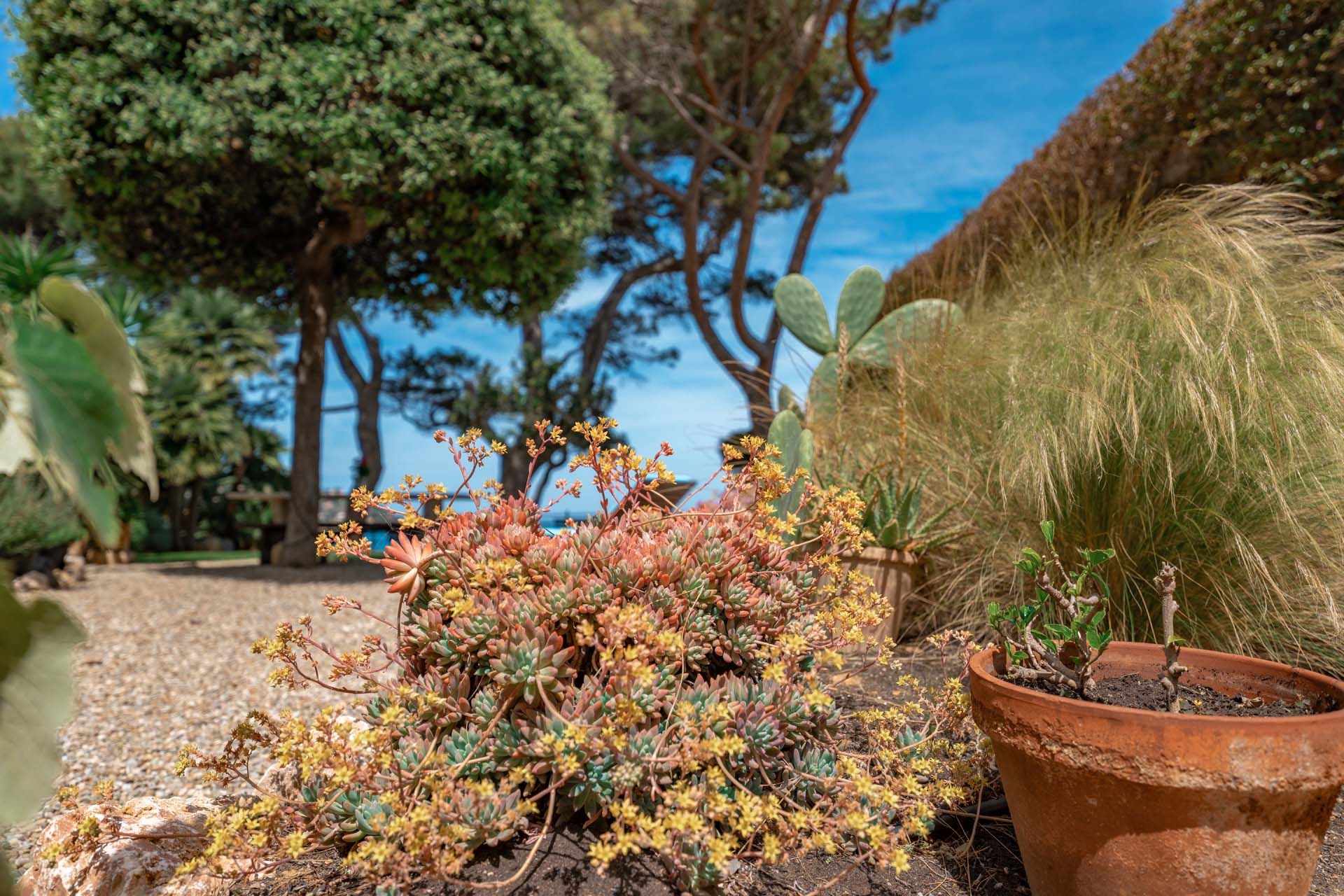 Hus i Porto Santo Stefano, Toscana 10840372