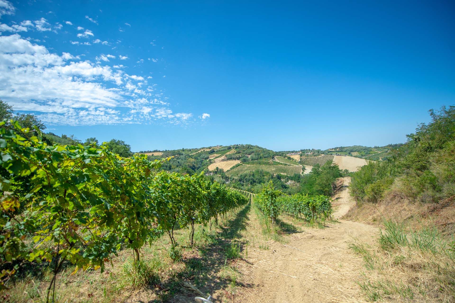 Altro nel Cesena, Emilia-Romagna 10840375