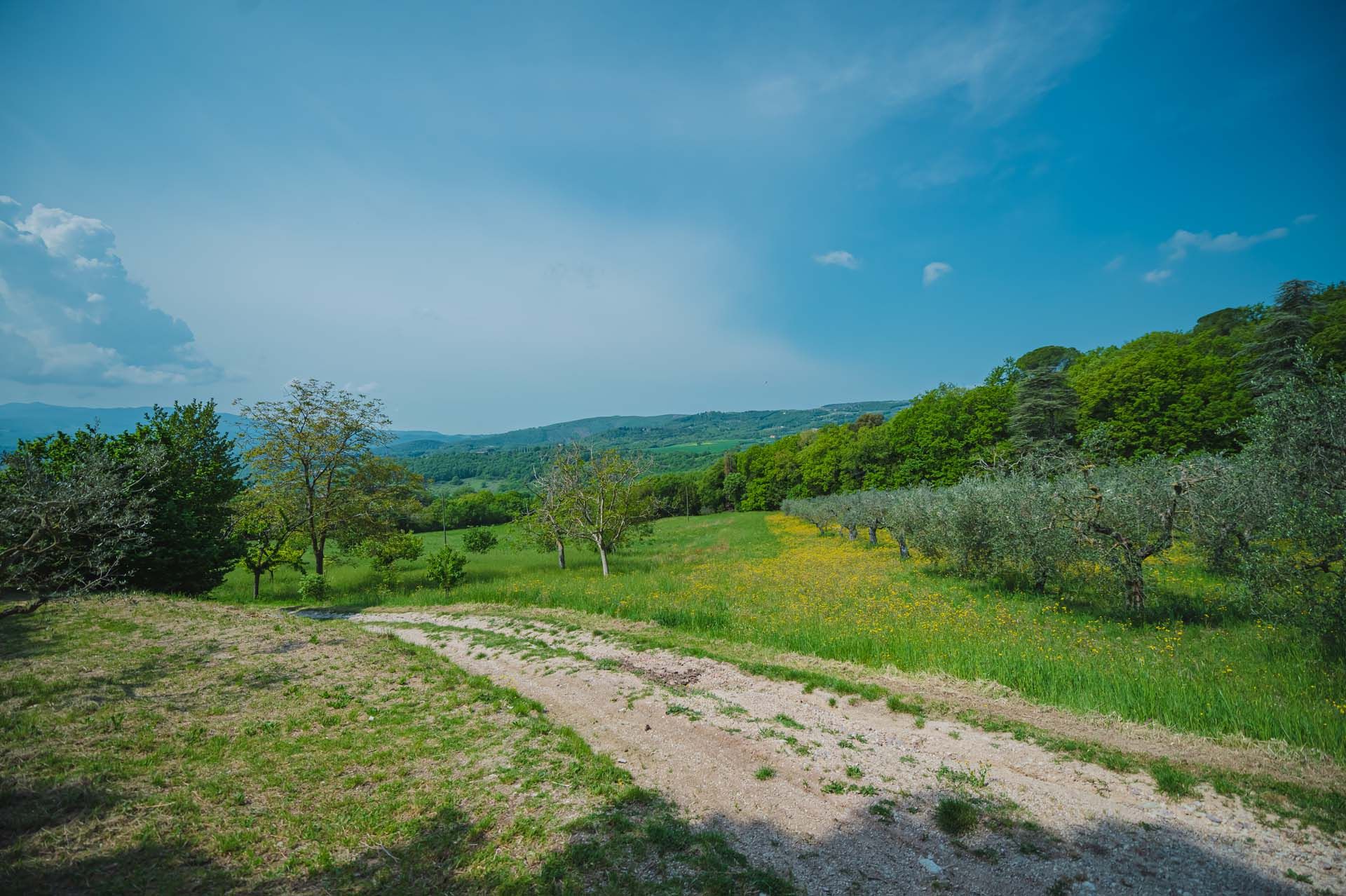 אַחֵר ב Todi, Umbria 10840388