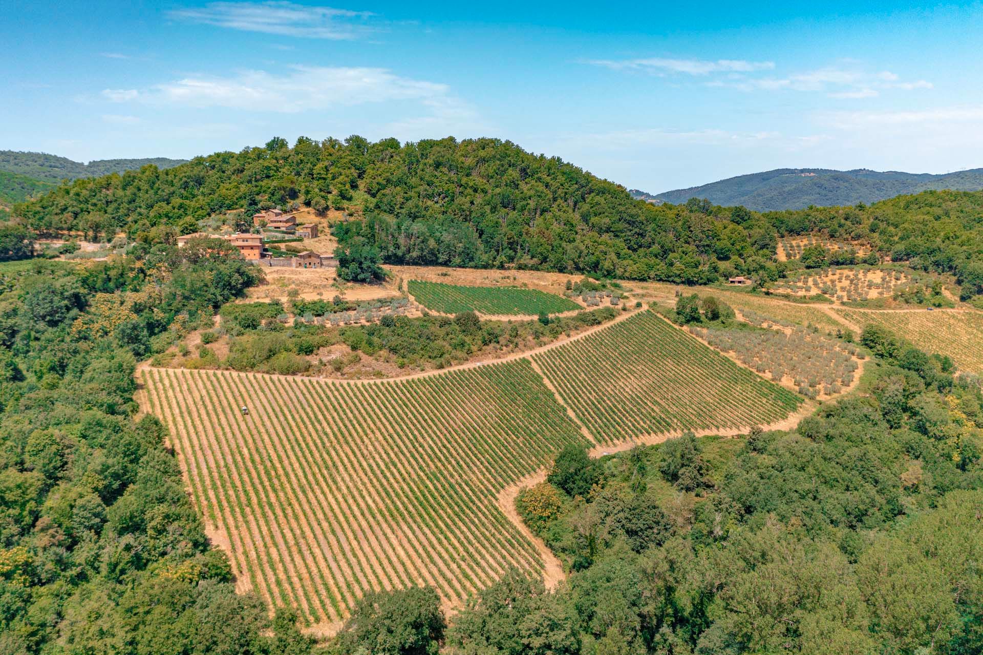 Другой в Greve in Chianti, Tuscany 10840392