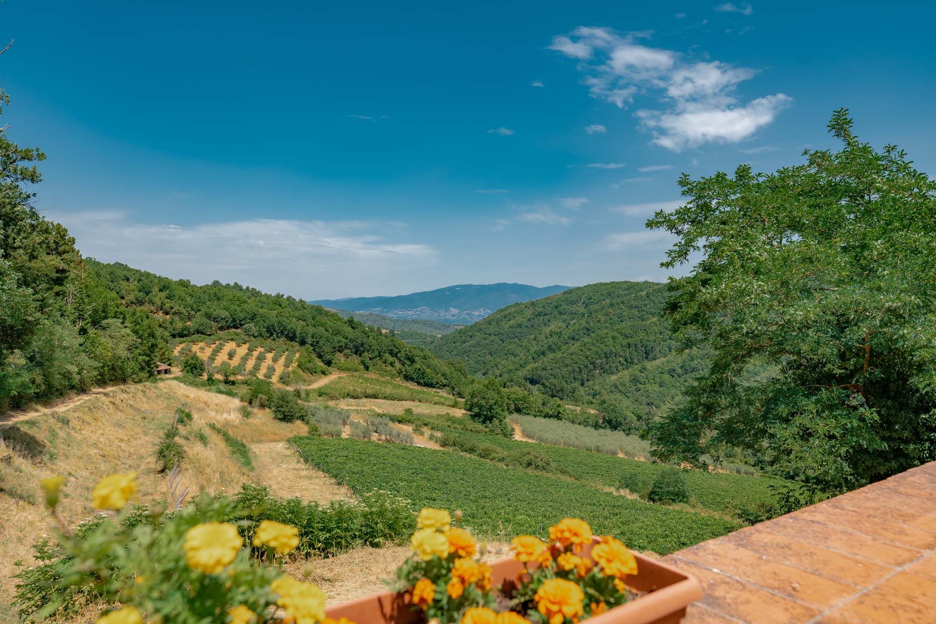 Другой в Greve in Chianti, Tuscany 10840392