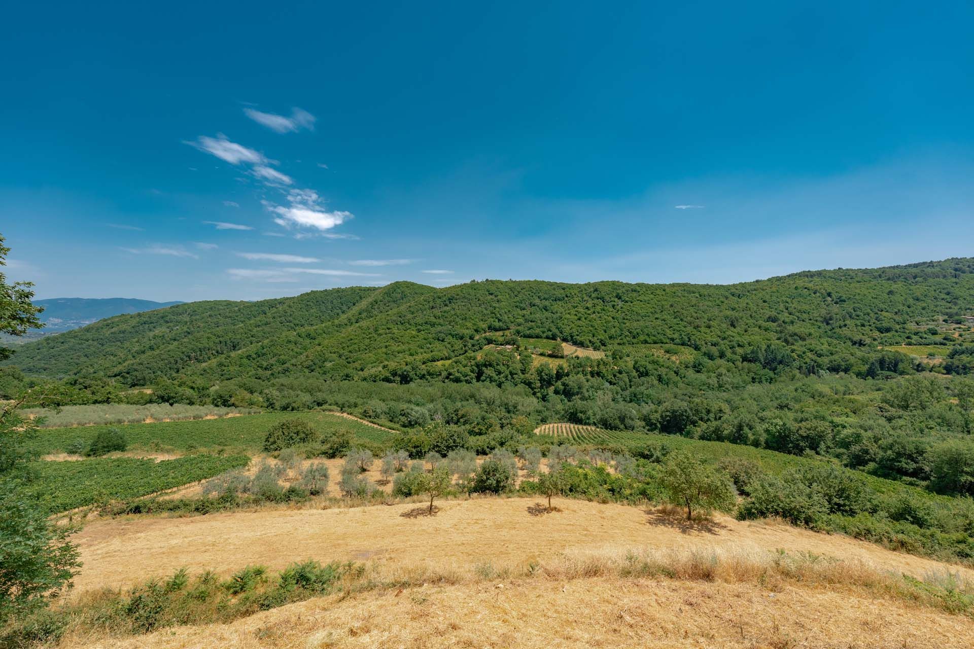 Другой в Greve in Chianti, Tuscany 10840392