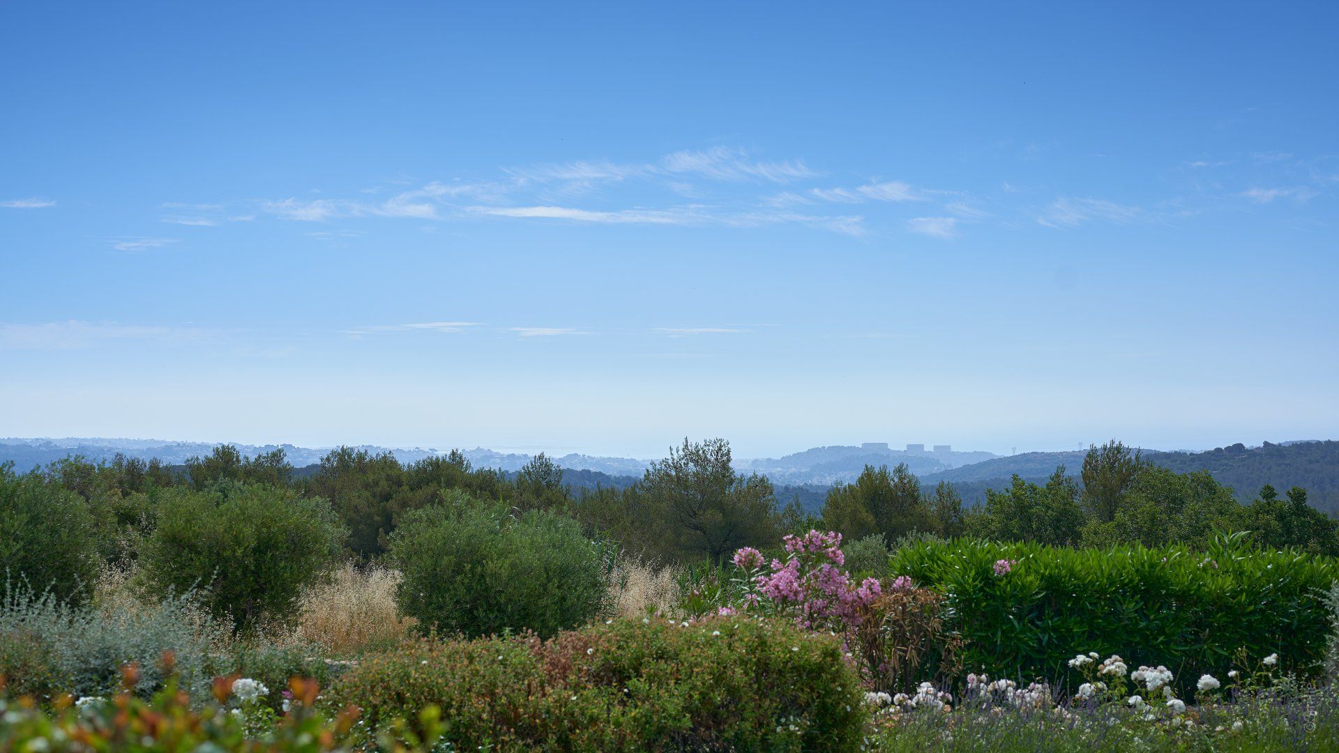 بيت في Roquefort-les-Pins, Provence-Alpes-Côte d'Azur 10840419