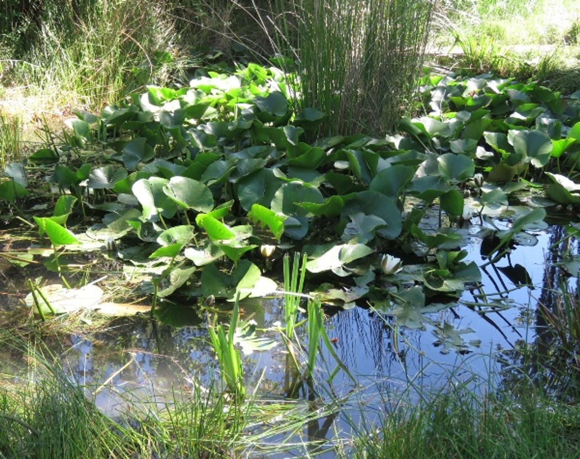 Talo sisään Macastre, Valencian Community 10841044