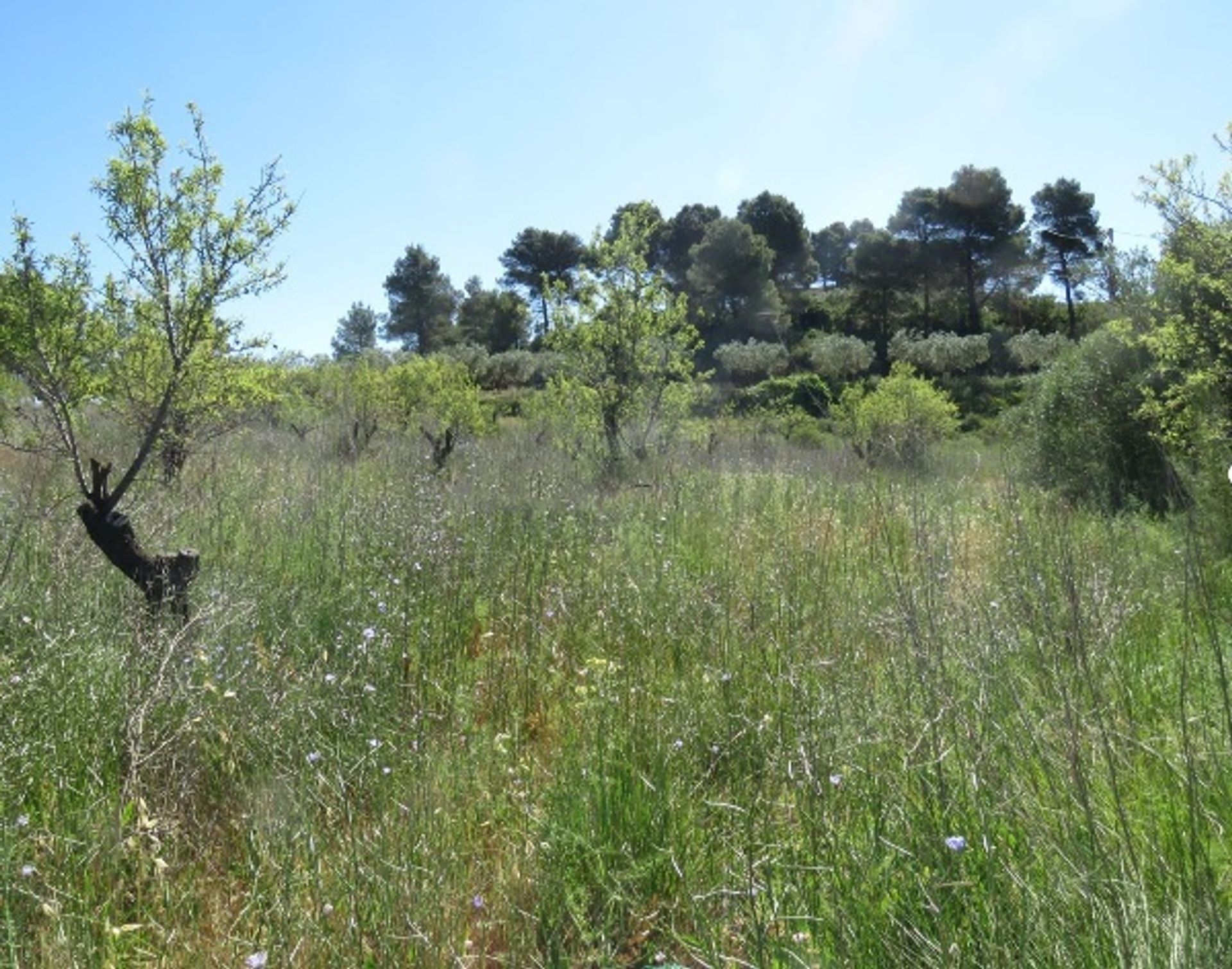 Talo sisään Macastre, Valencian Community 10841044