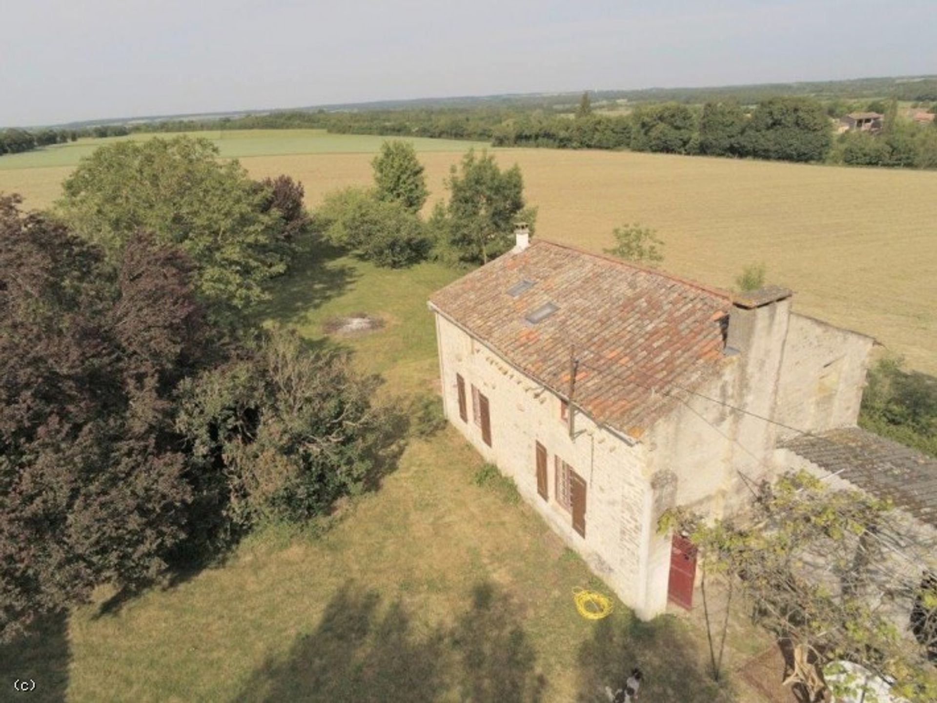 Αλλα σε Chef-Boutonne, Nouvelle-Aquitaine 10841141