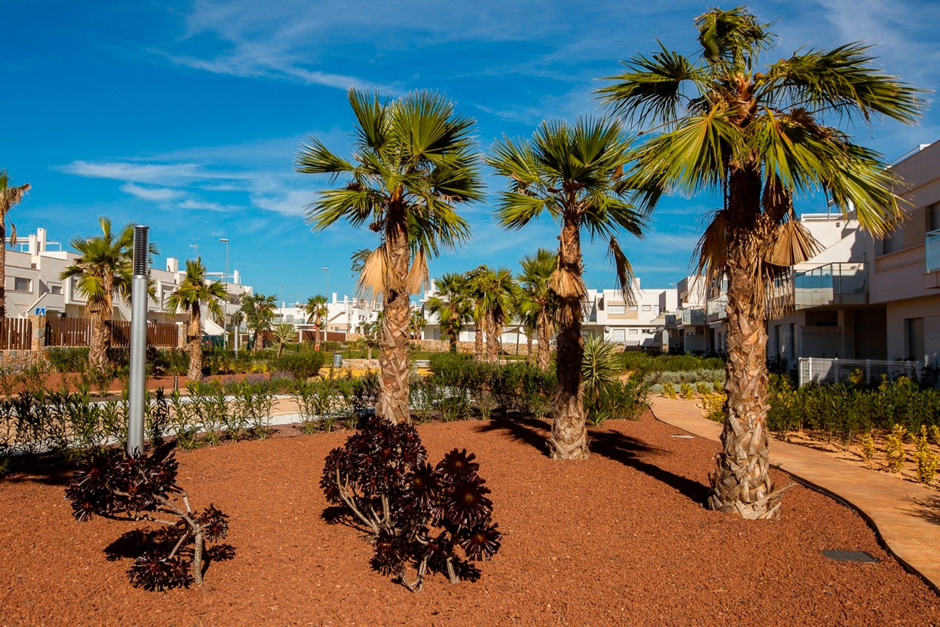 Kondominium di San Miguel de Salinas, Valencian Community 10841181