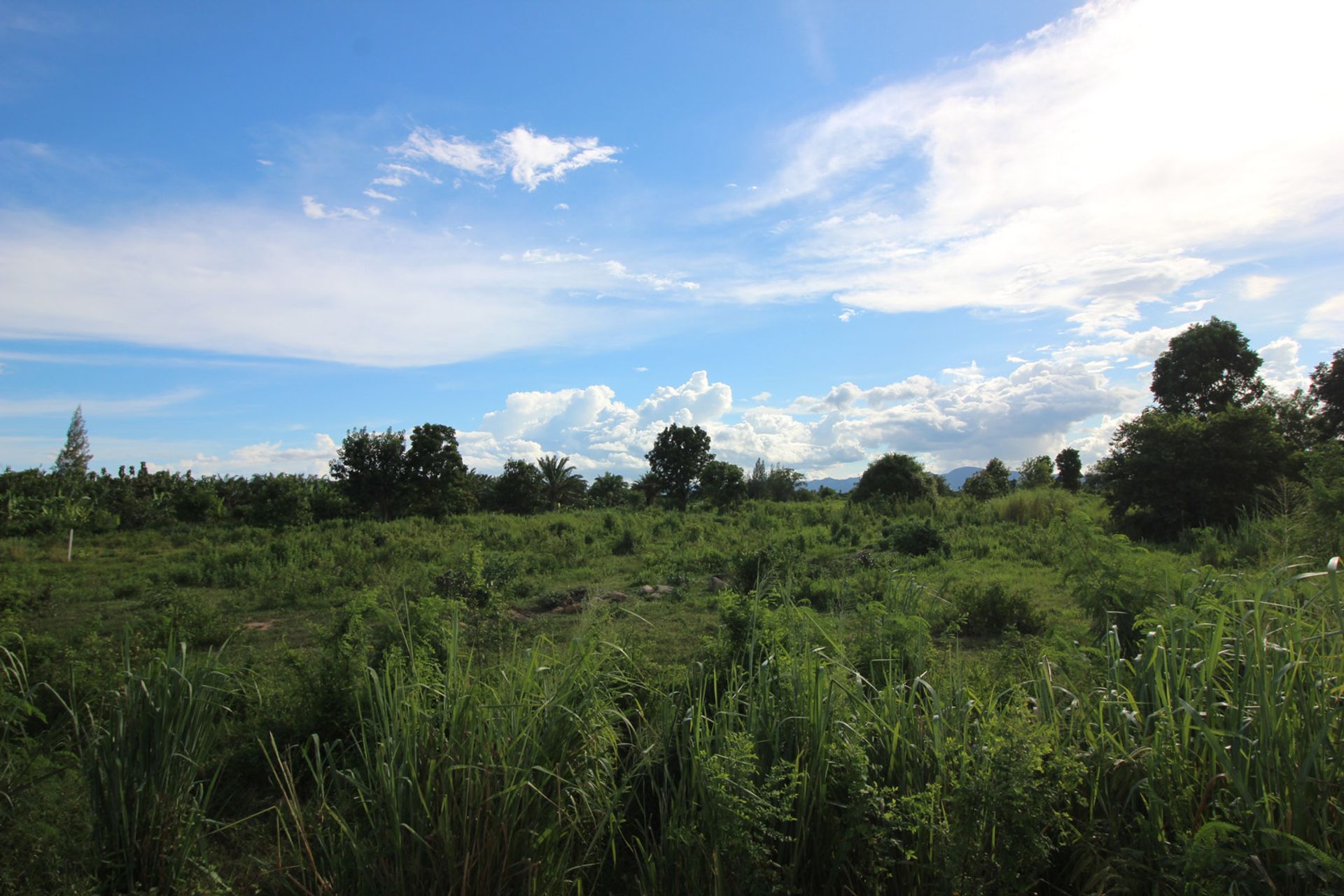 Land i Pran Buri, Prachuap Khiri Khan 10841973