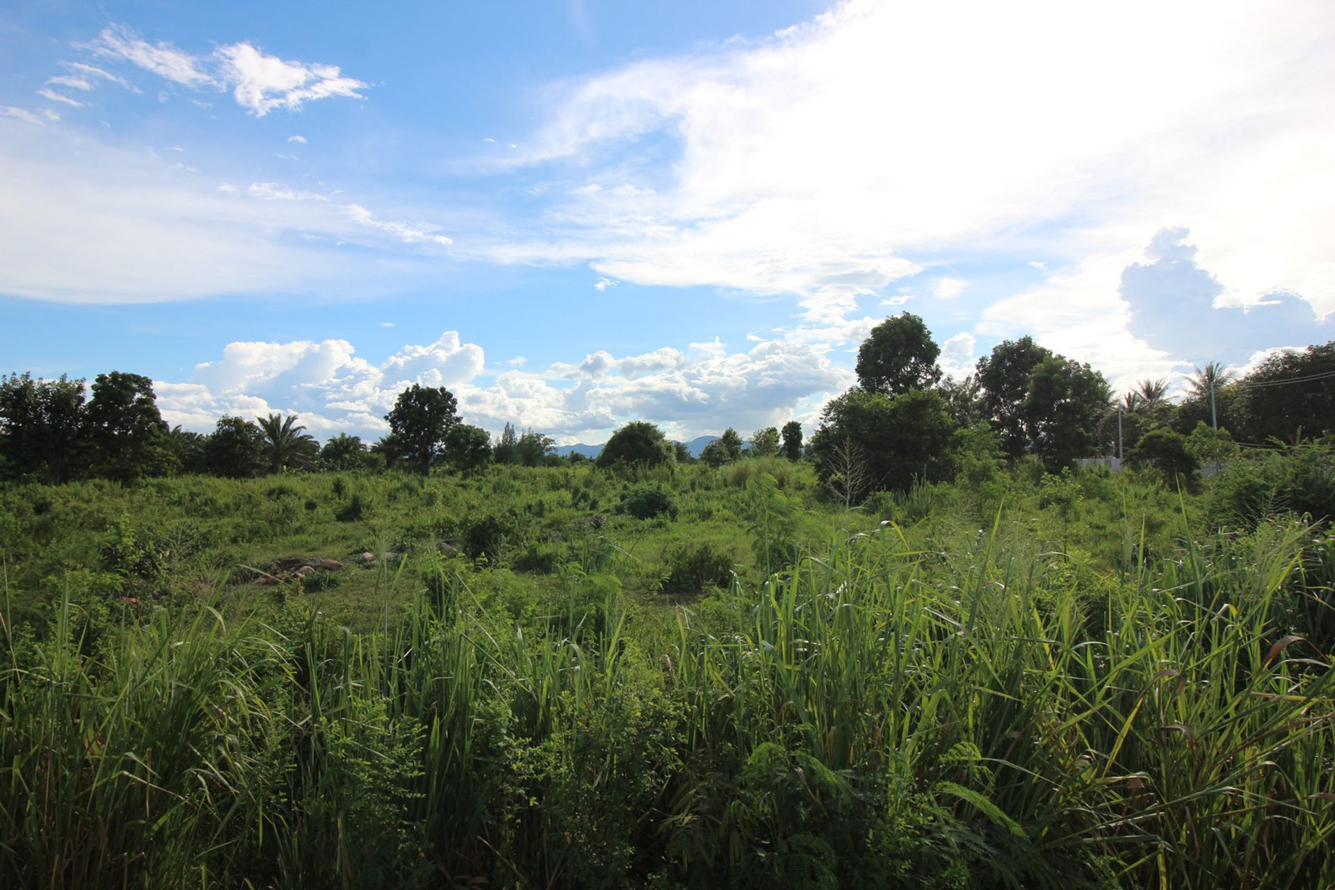 Tanah di Pran Buri, Prachuap Khiri Khan 10841973