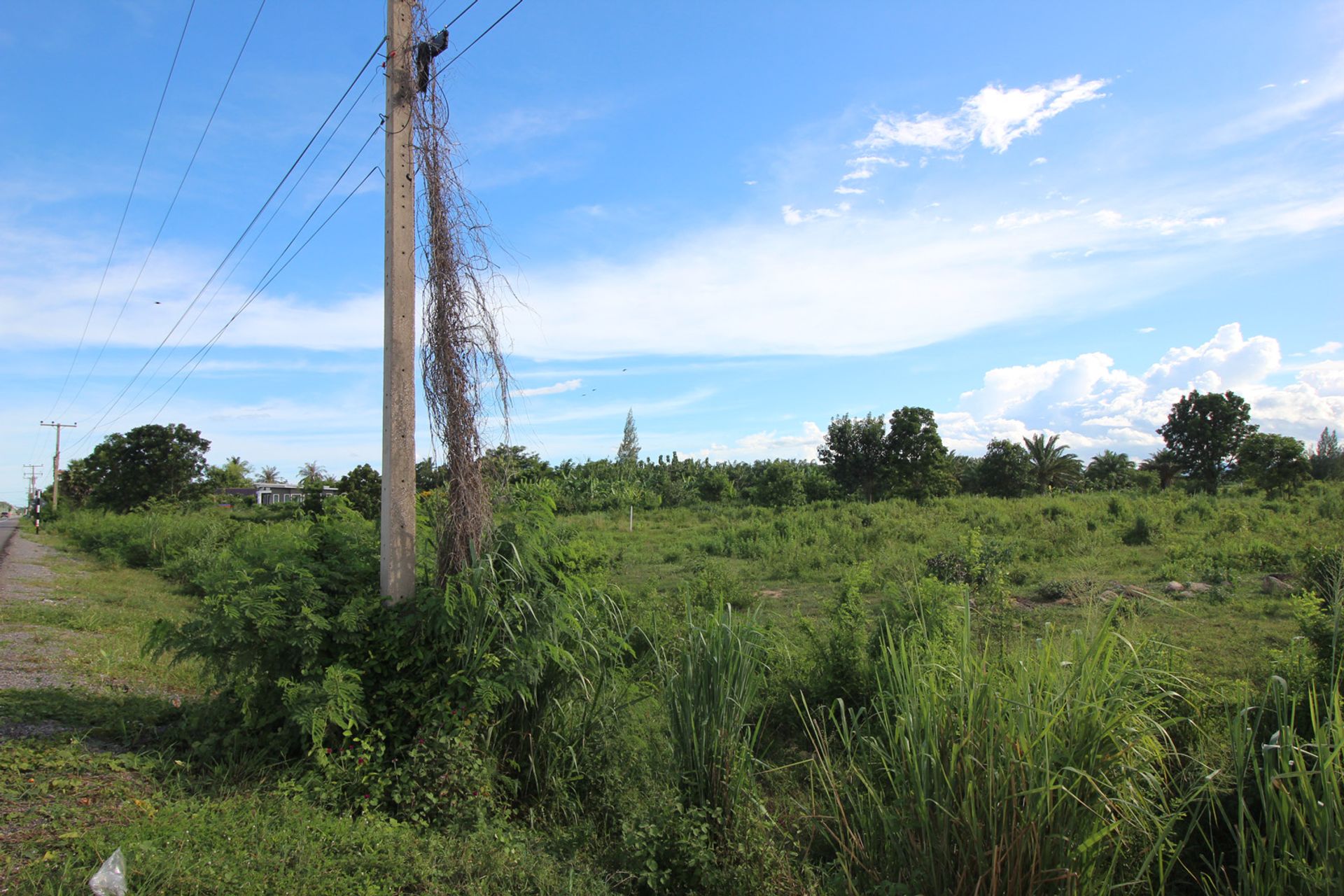 Land i Pran Buri, Prachuap Khiri Khan 10841973