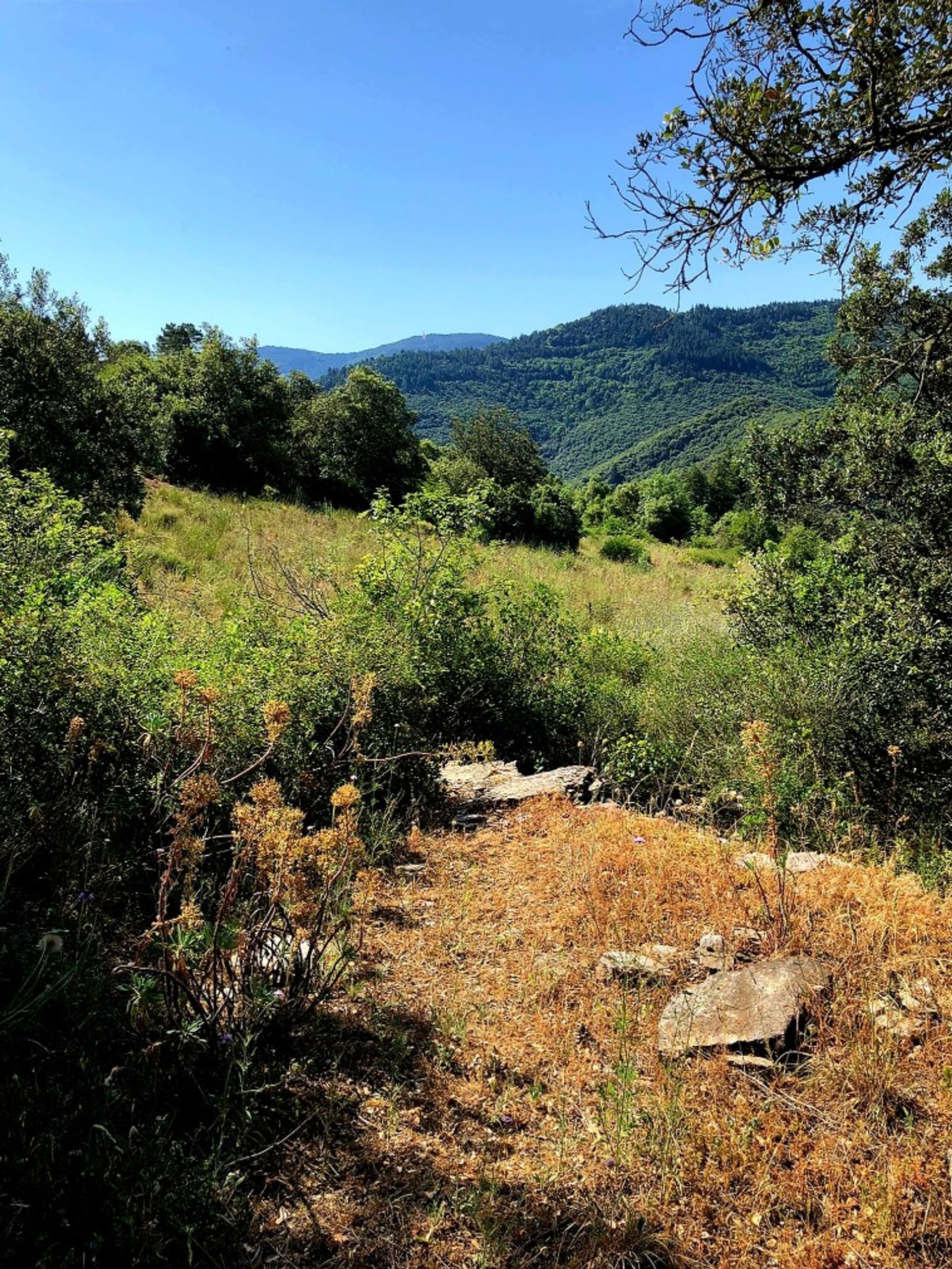 Huis in Saint-Chinian, Occitanie 10842299