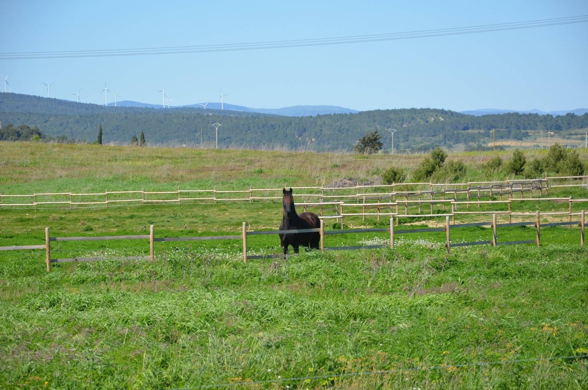 집 에 Les Angles, Occitanie 10842403