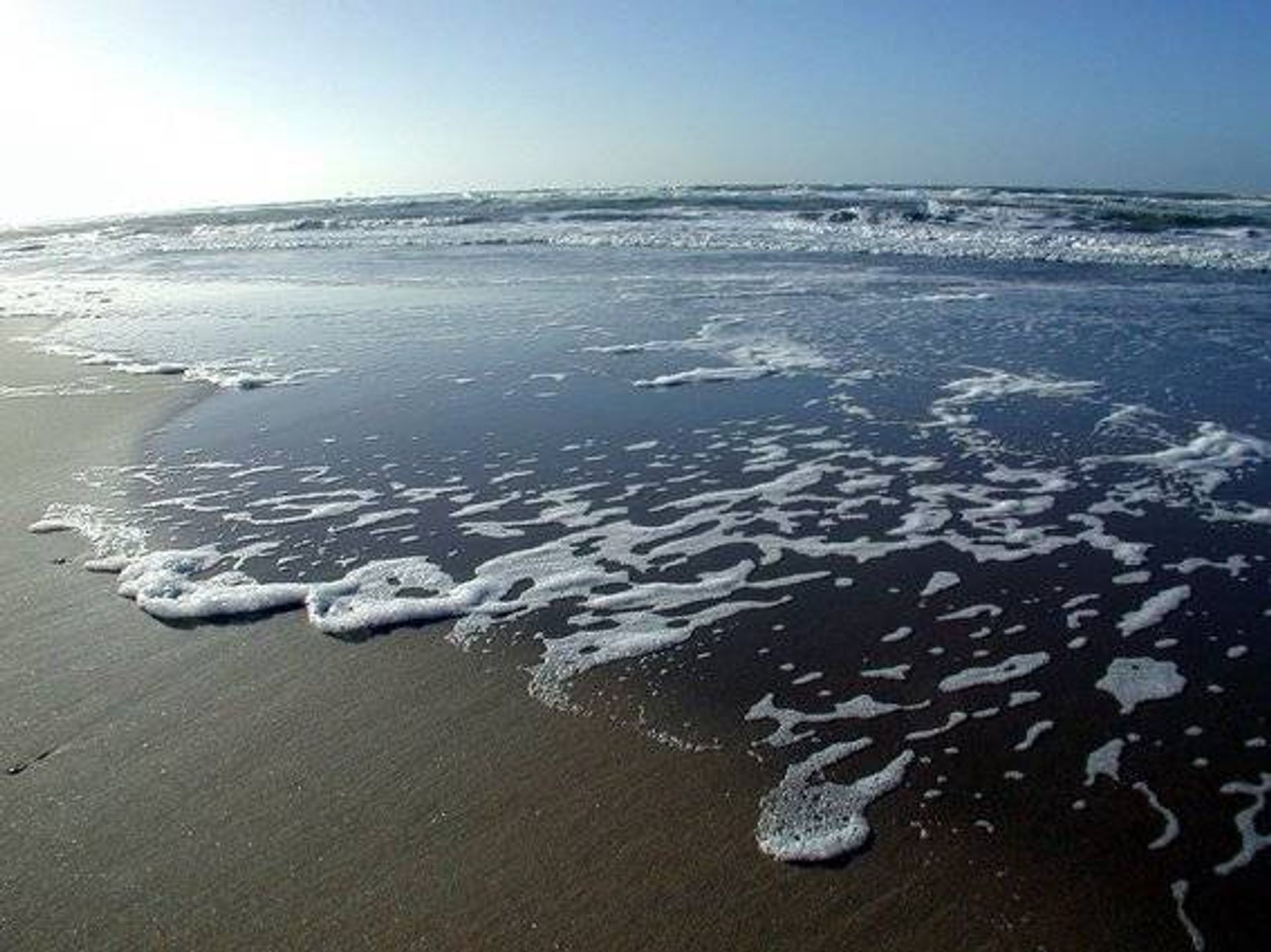 بيت في Canet-en-Roussillon, Occitanie 10842416