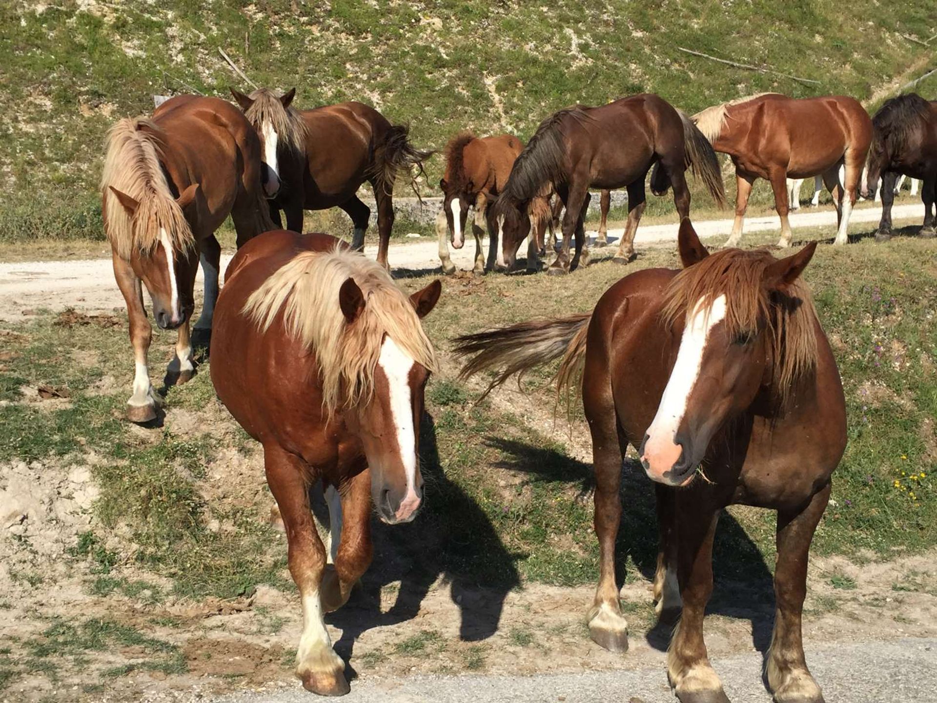 жилой дом в , Umbria 10843713