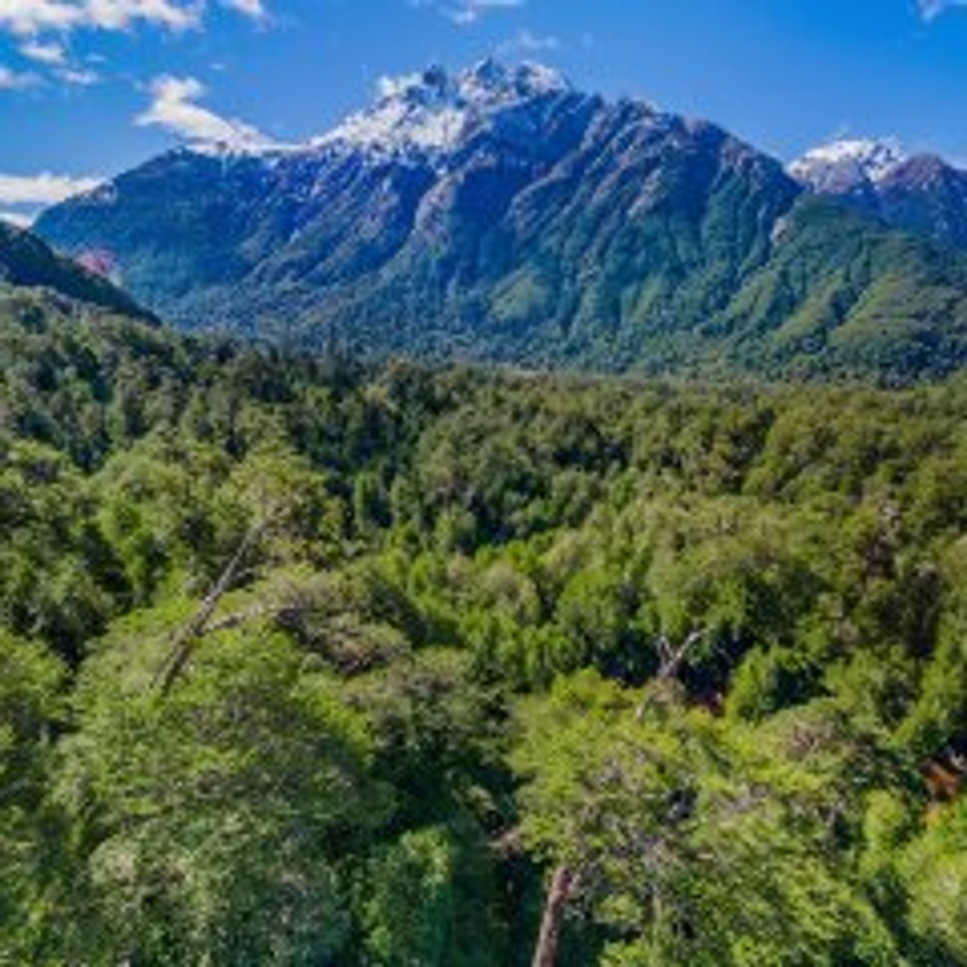 土地 在 Coyhaique, Aysén 10843777