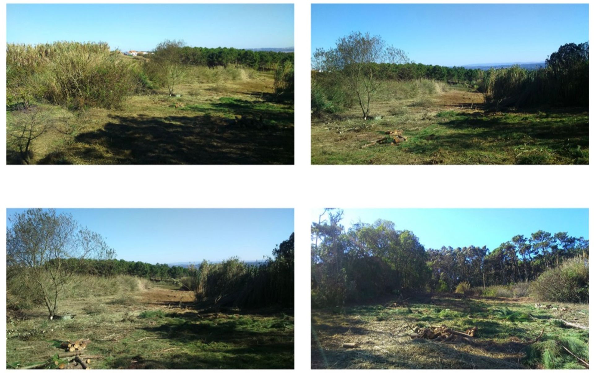 Land in Serra do Bouro, Leiria 10843836