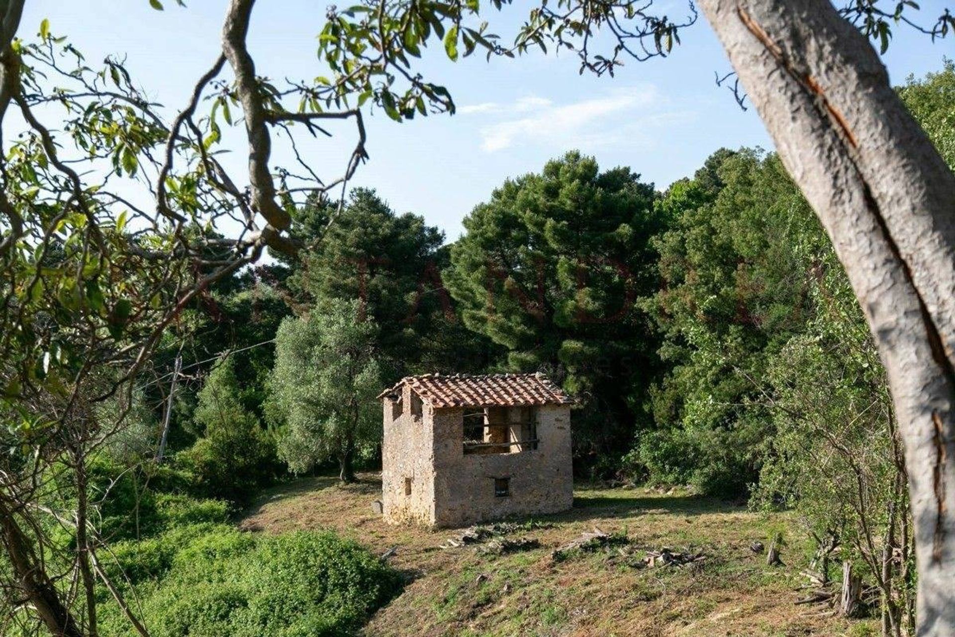 Rumah di Capannori, Tuscany 10843867