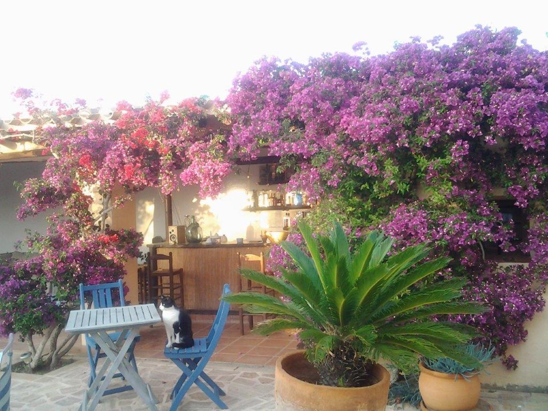 Casa nel Cuevas del Almanzora, Andalusia 10843924