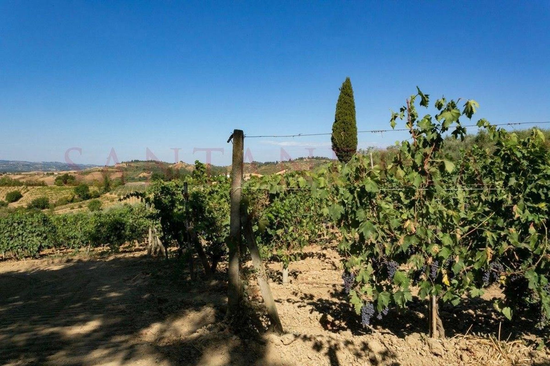 بيت في Certaldo, Tuscany 10844124