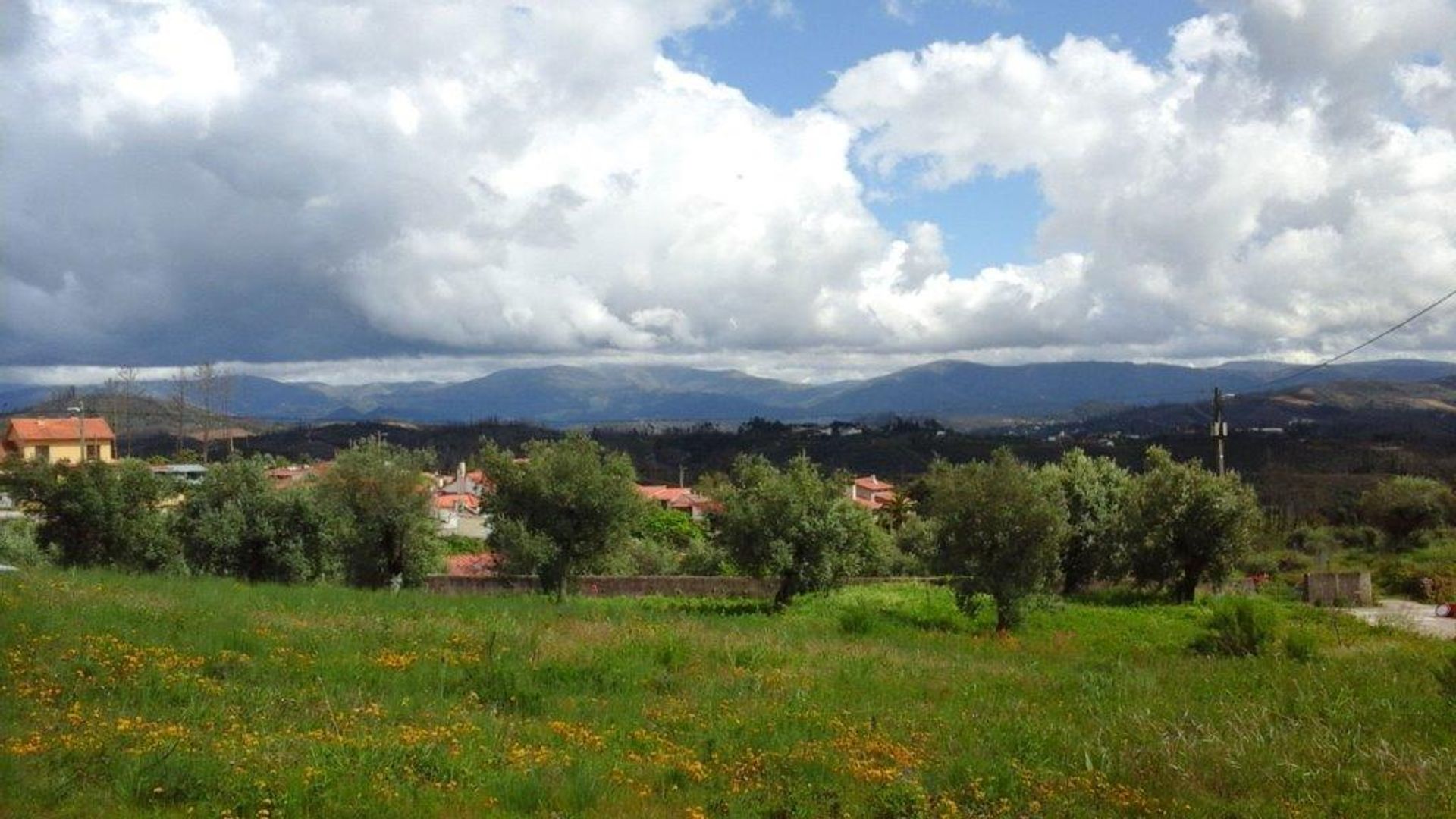 Condominium in São Martinho da Cortiça, Coimbra 10844159