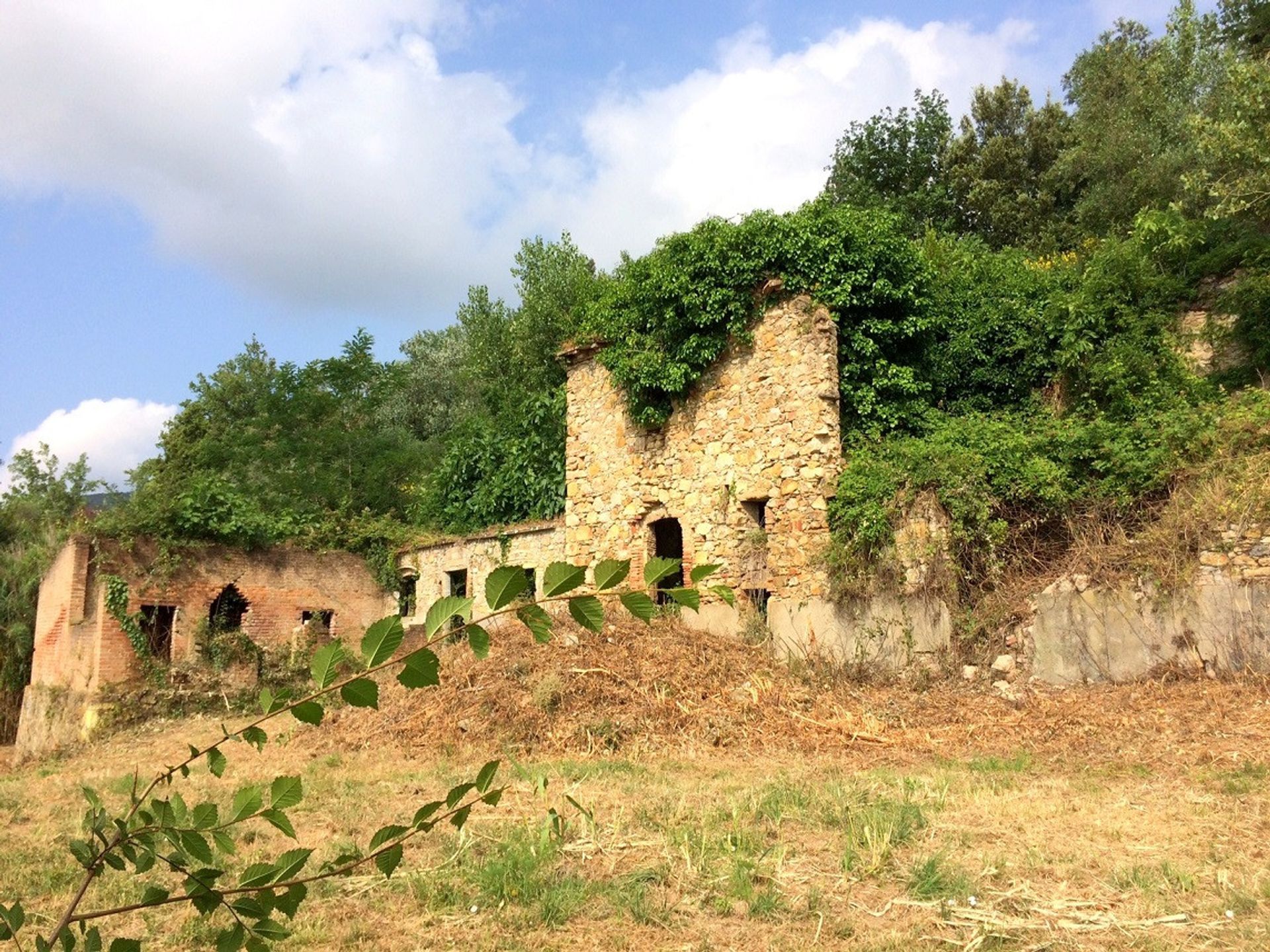 House in Livorno, Tuscany 10844275