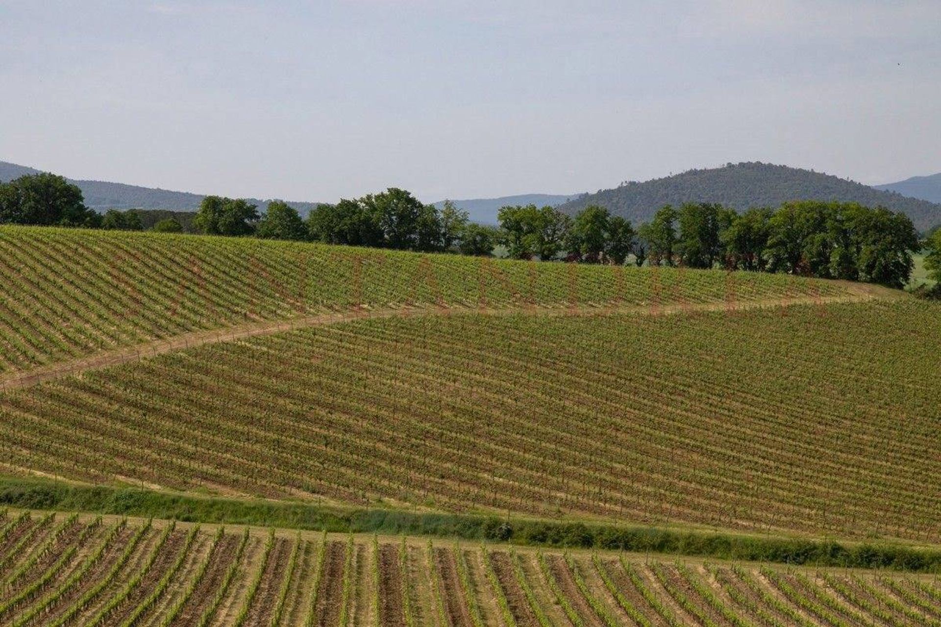 Osakehuoneisto sisään Casole d'Elsa, Tuscany 10844298