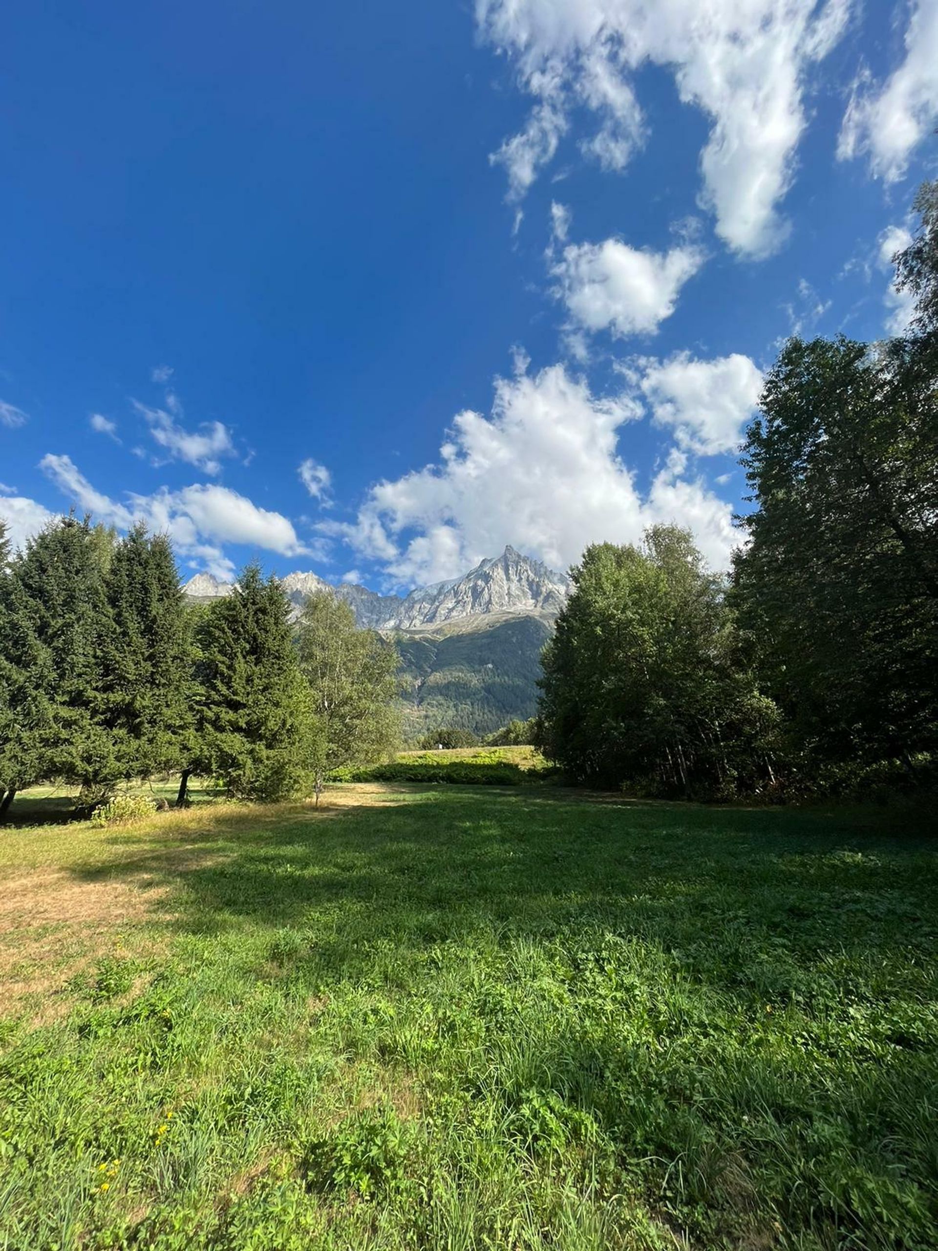 Andere in Chamonix, Auvergne-Rhône-Alpes 10844482