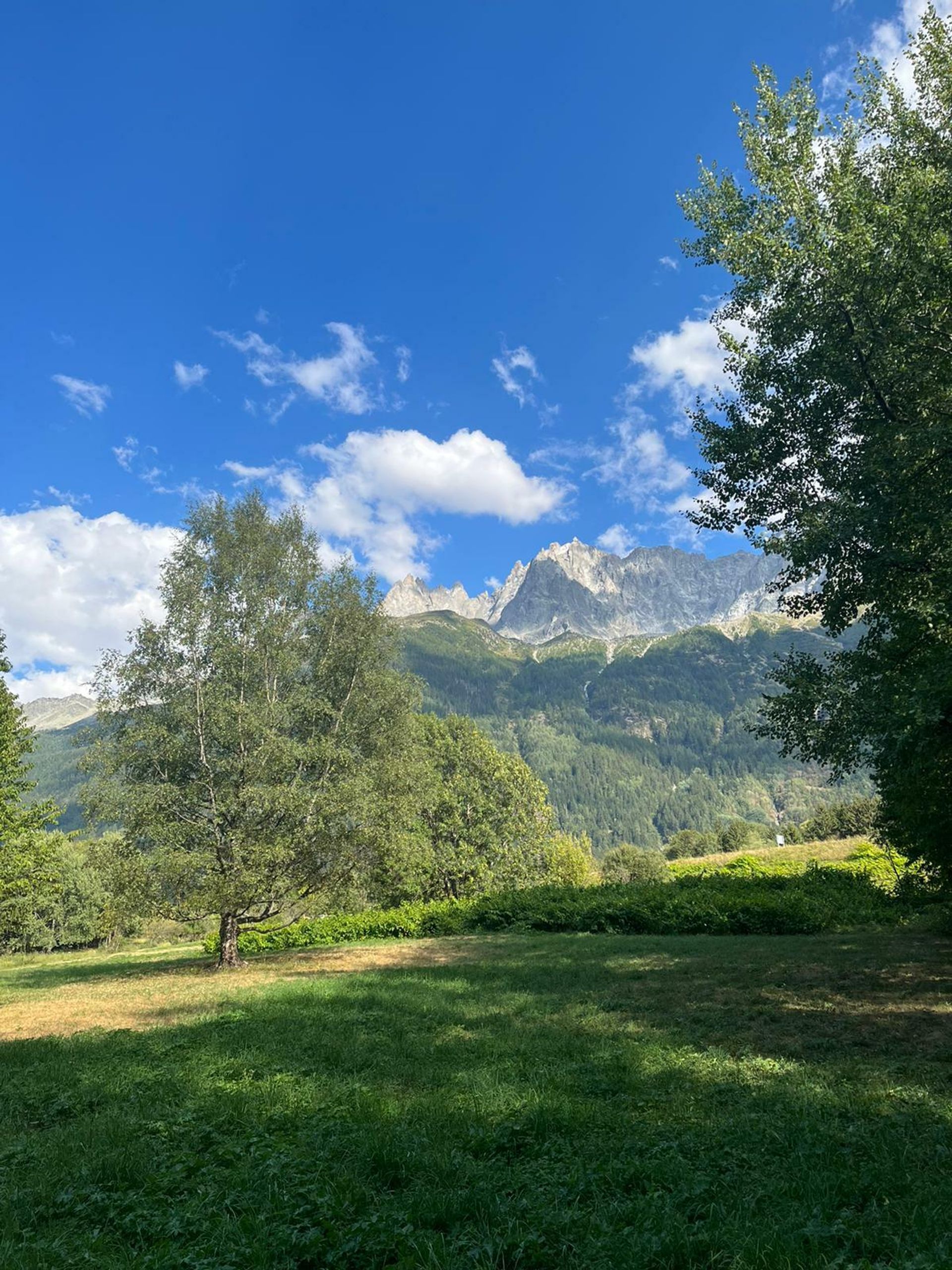 Yang lain dalam Chamonix, Auvergne-Rhône-Alpes 10844482