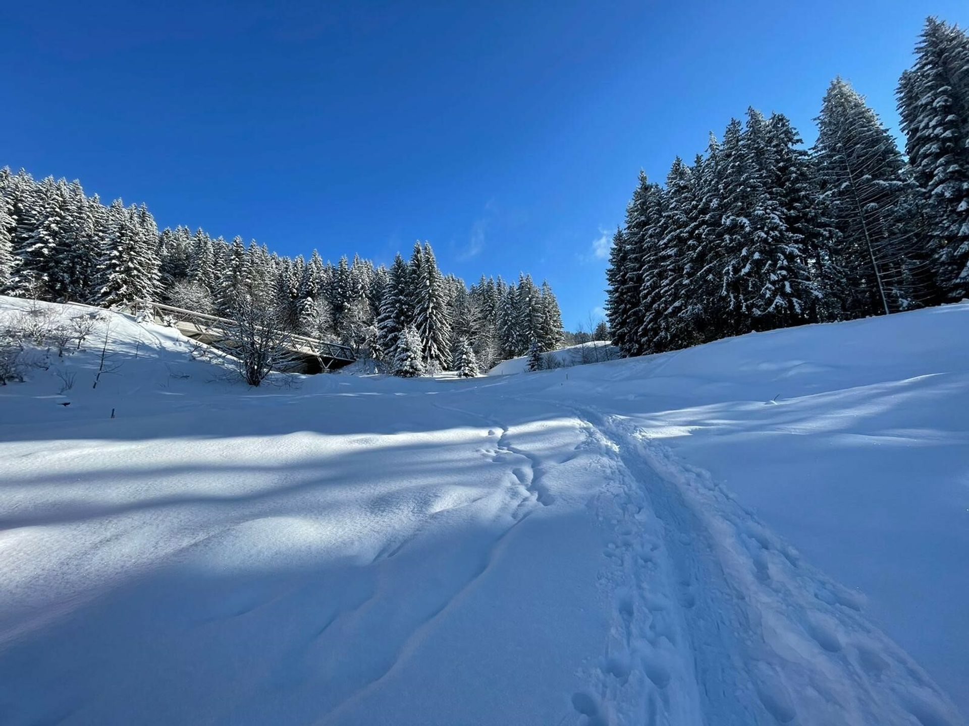 公寓 在 Arâches-la-Frasse, Auvergne-Rhône-Alpes 10844505