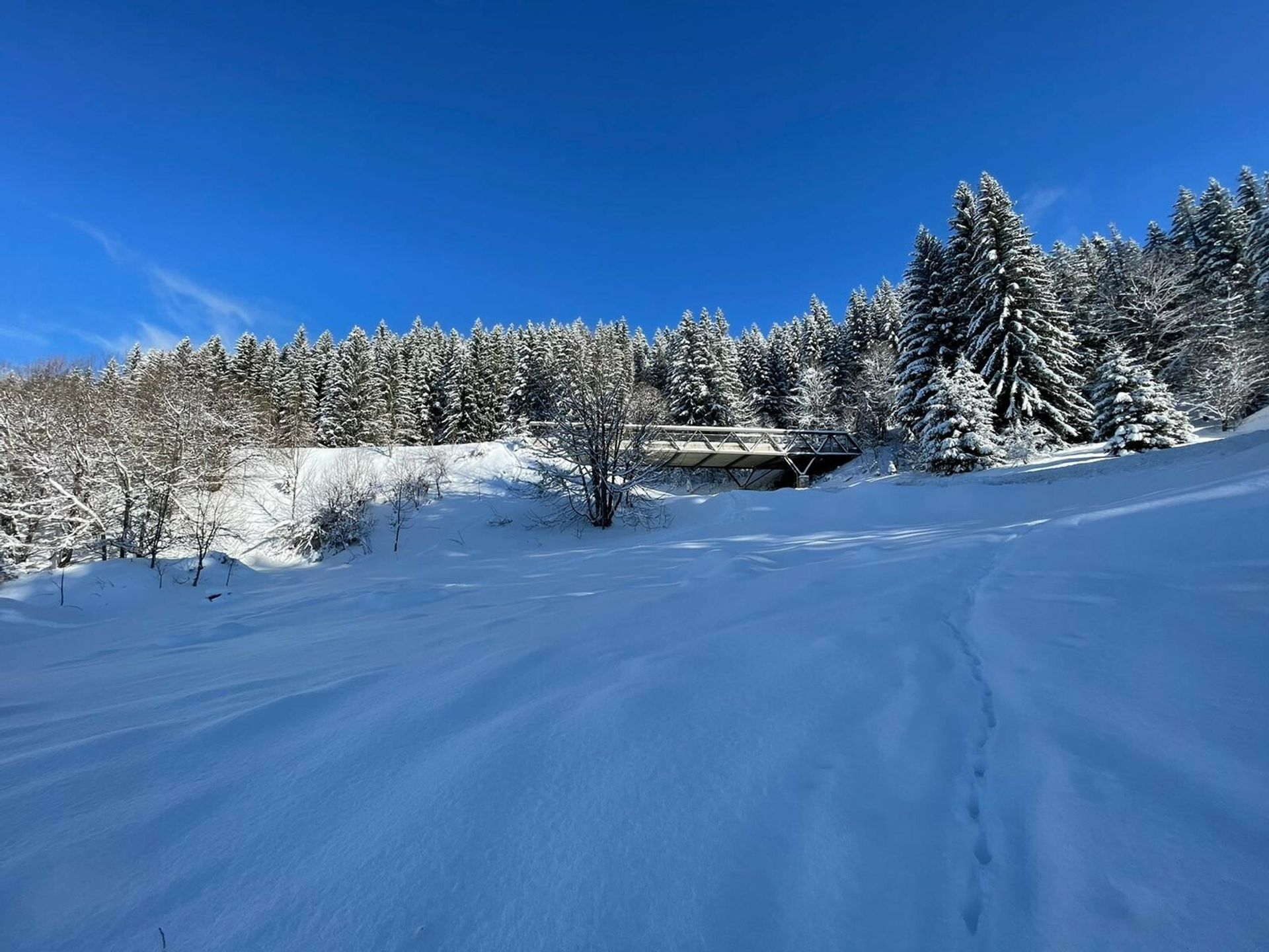 公寓 在 Arâches-la-Frasse, Auvergne-Rhône-Alpes 10844505